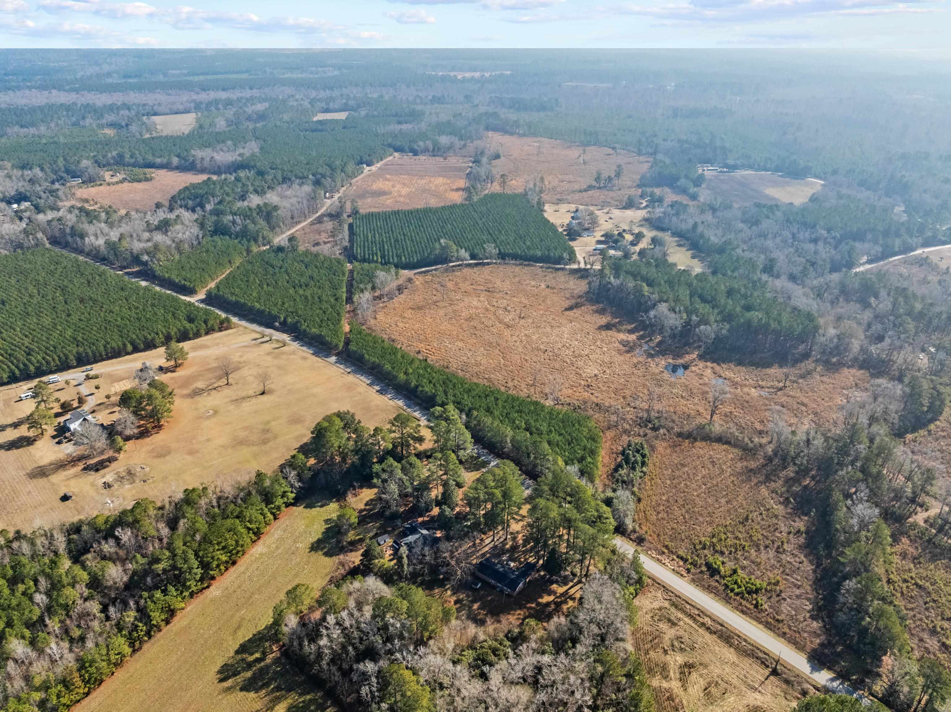 Tbd 183 Acres Blakely Rd. Property Photo 26
