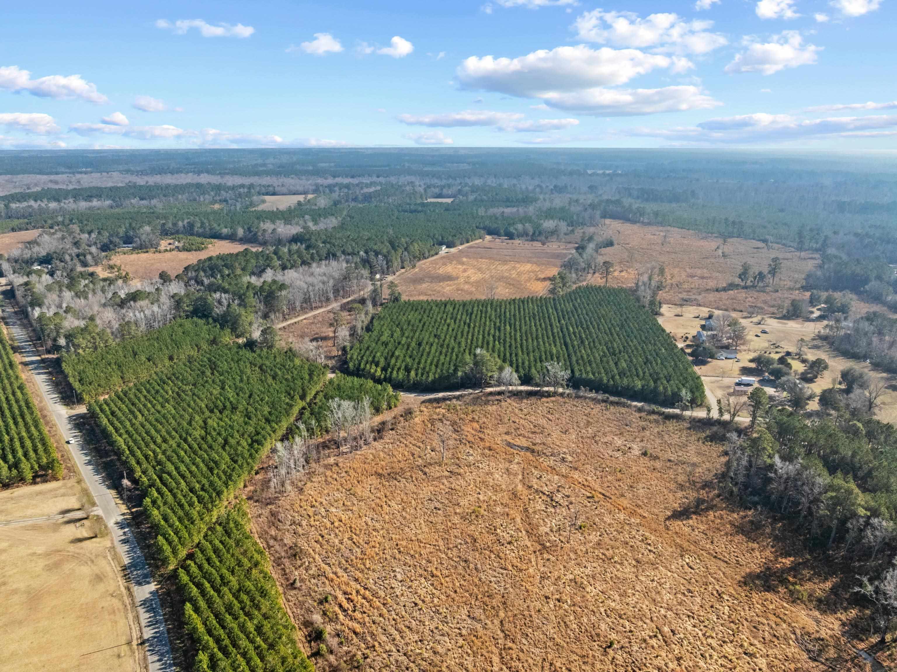 Tbd 183 Acres Blakely Rd. Property Photo 27