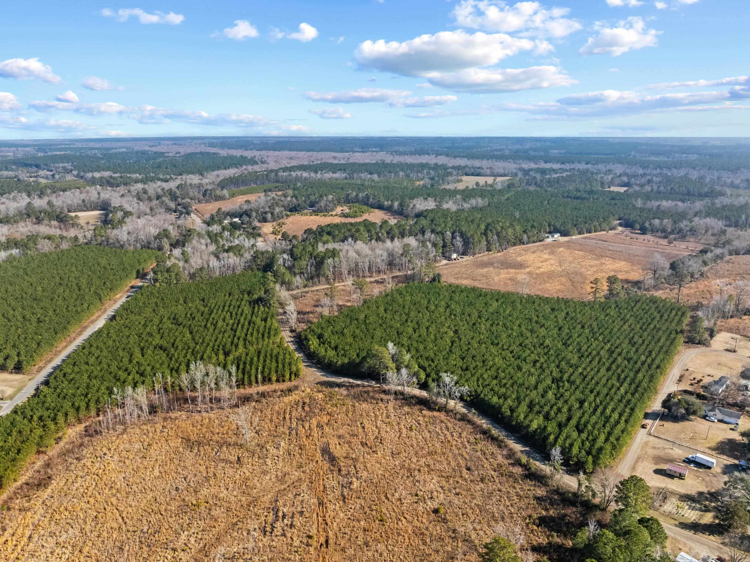 Tbd 183 Acres Blakely Rd. Property Photo 28