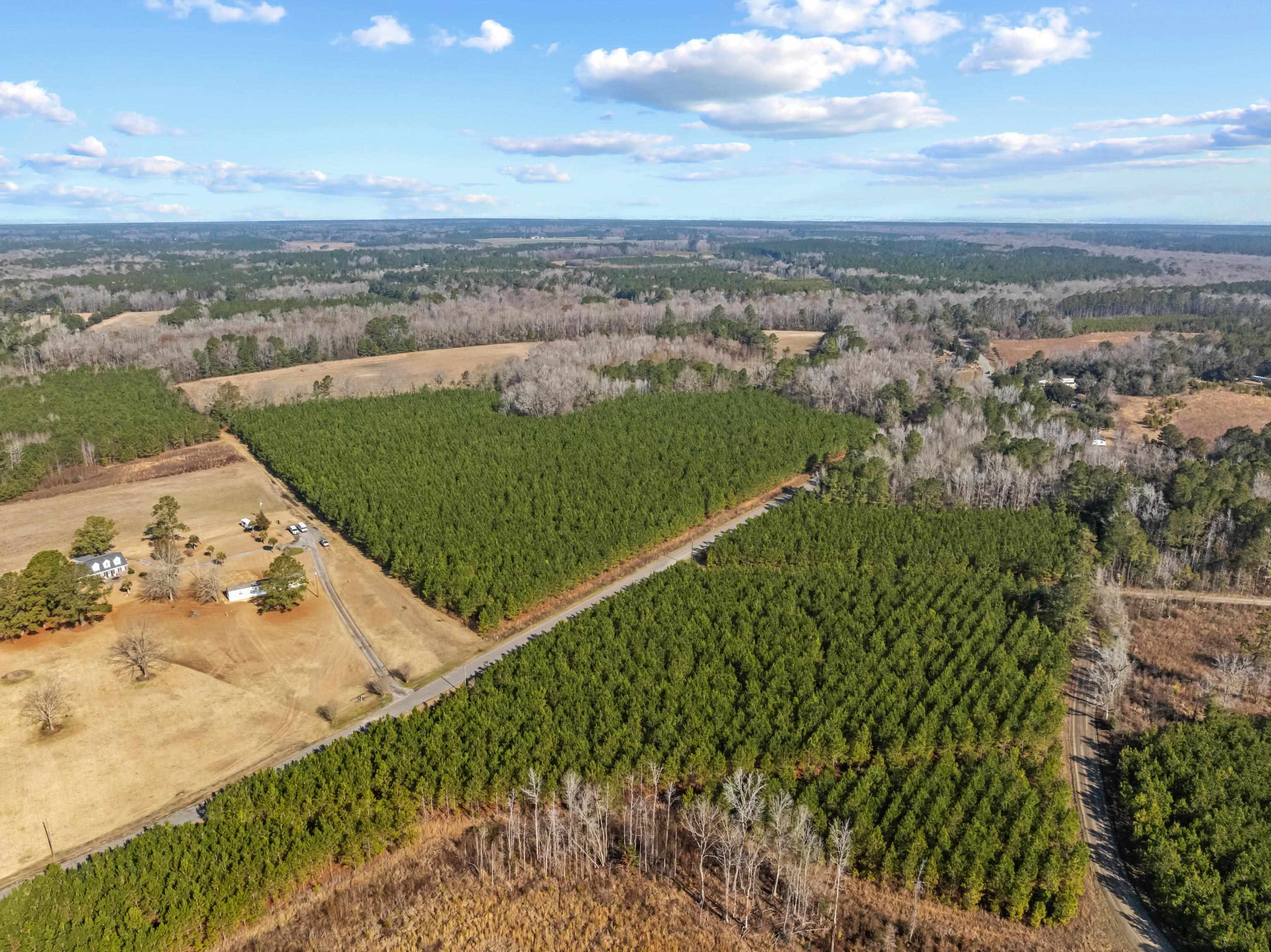 Tbd 183 Acres Blakely Rd. Property Photo 29