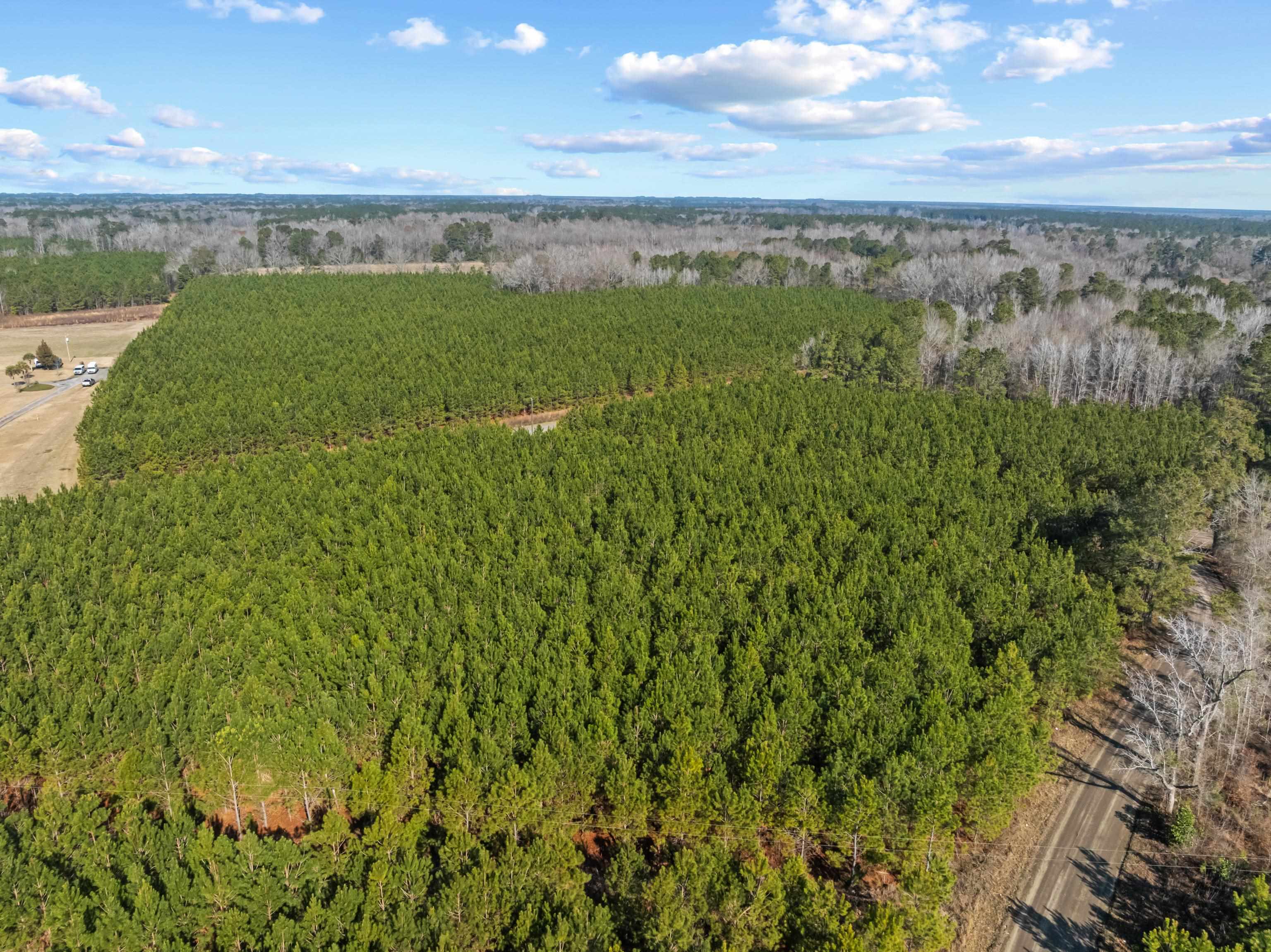 Tbd 183 Acres Blakely Rd. Property Photo 30