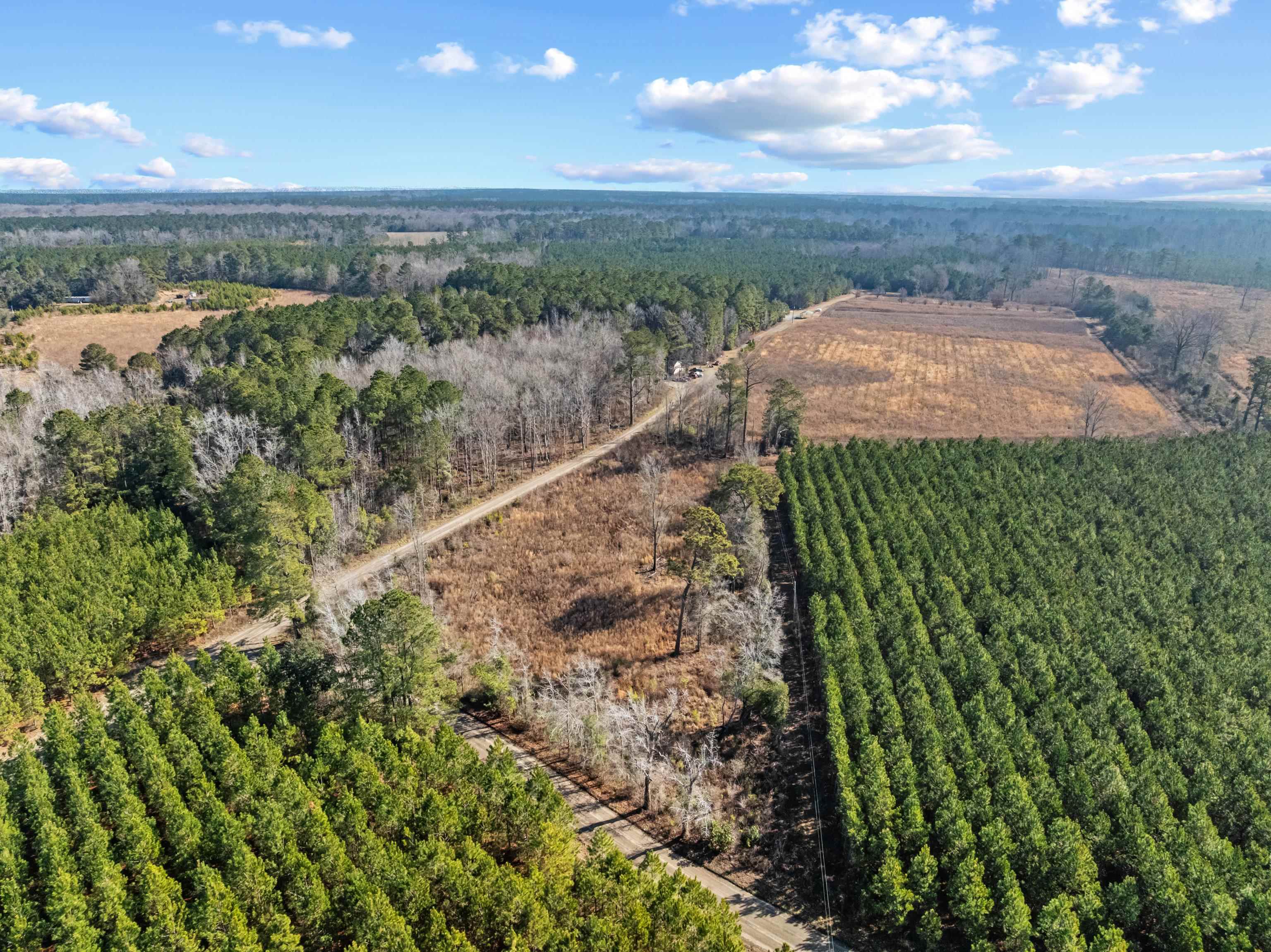 Tbd 183 Acres Blakely Rd. Property Photo 31
