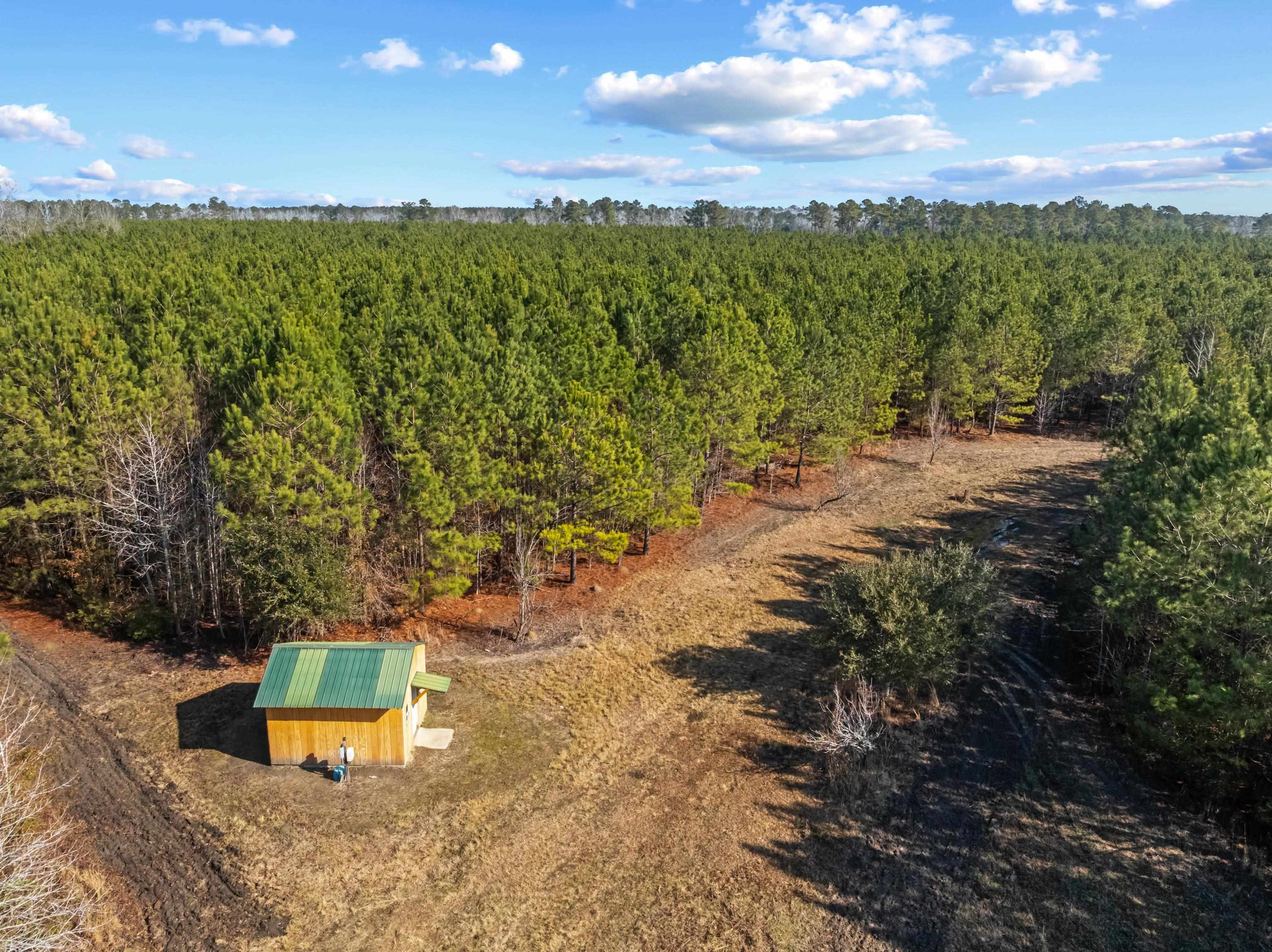 Tbd 183 Acres Blakely Rd. Property Photo 32