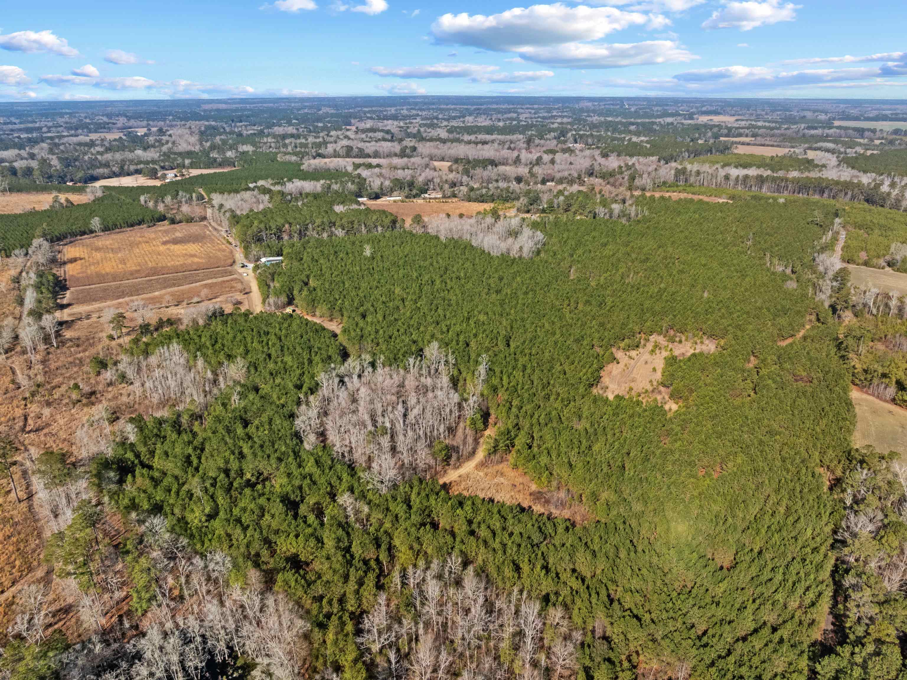 Tbd 183 Acres Blakely Rd. Property Photo 33