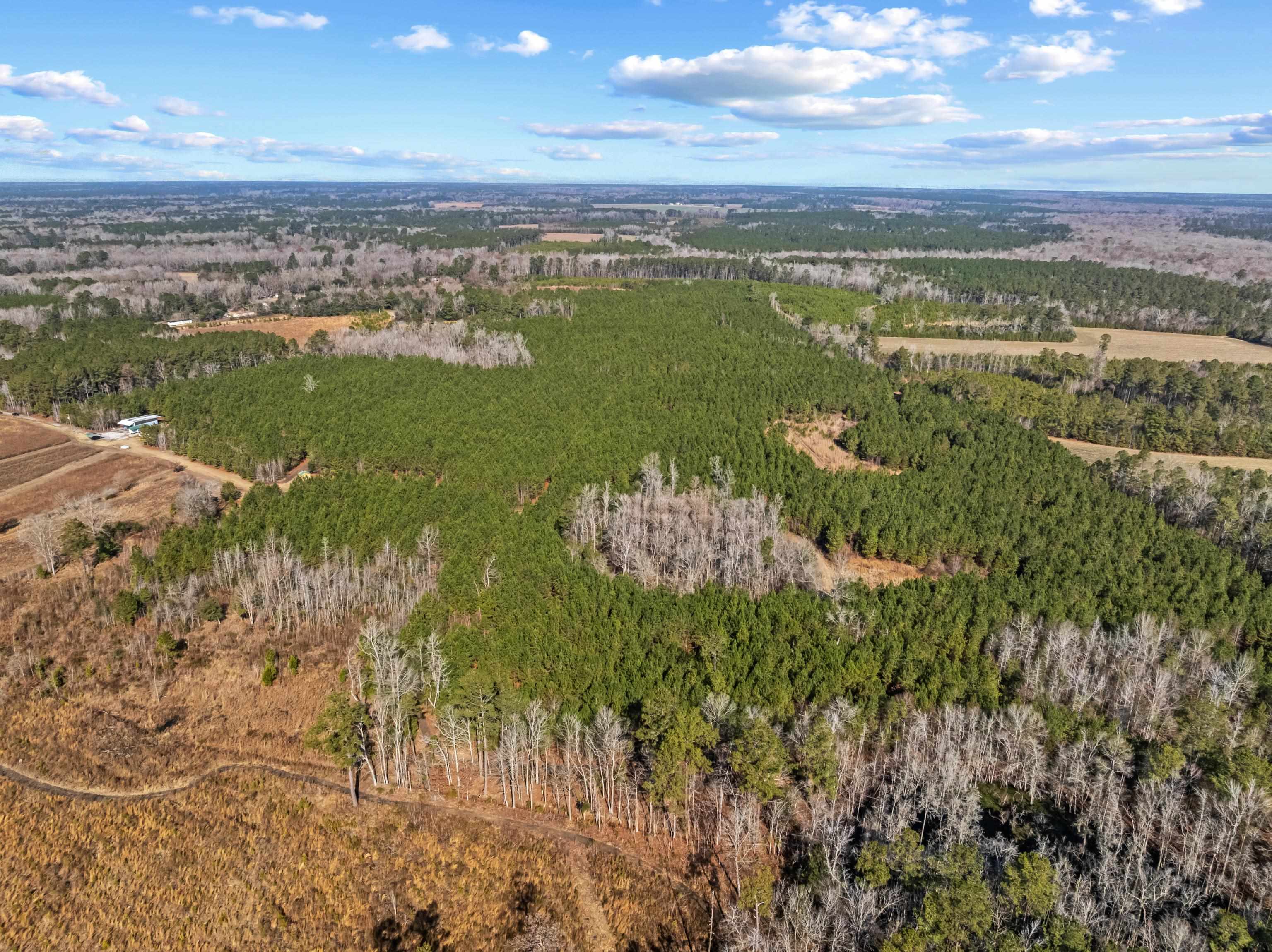 Tbd 183 Acres Blakely Rd. Property Photo 34