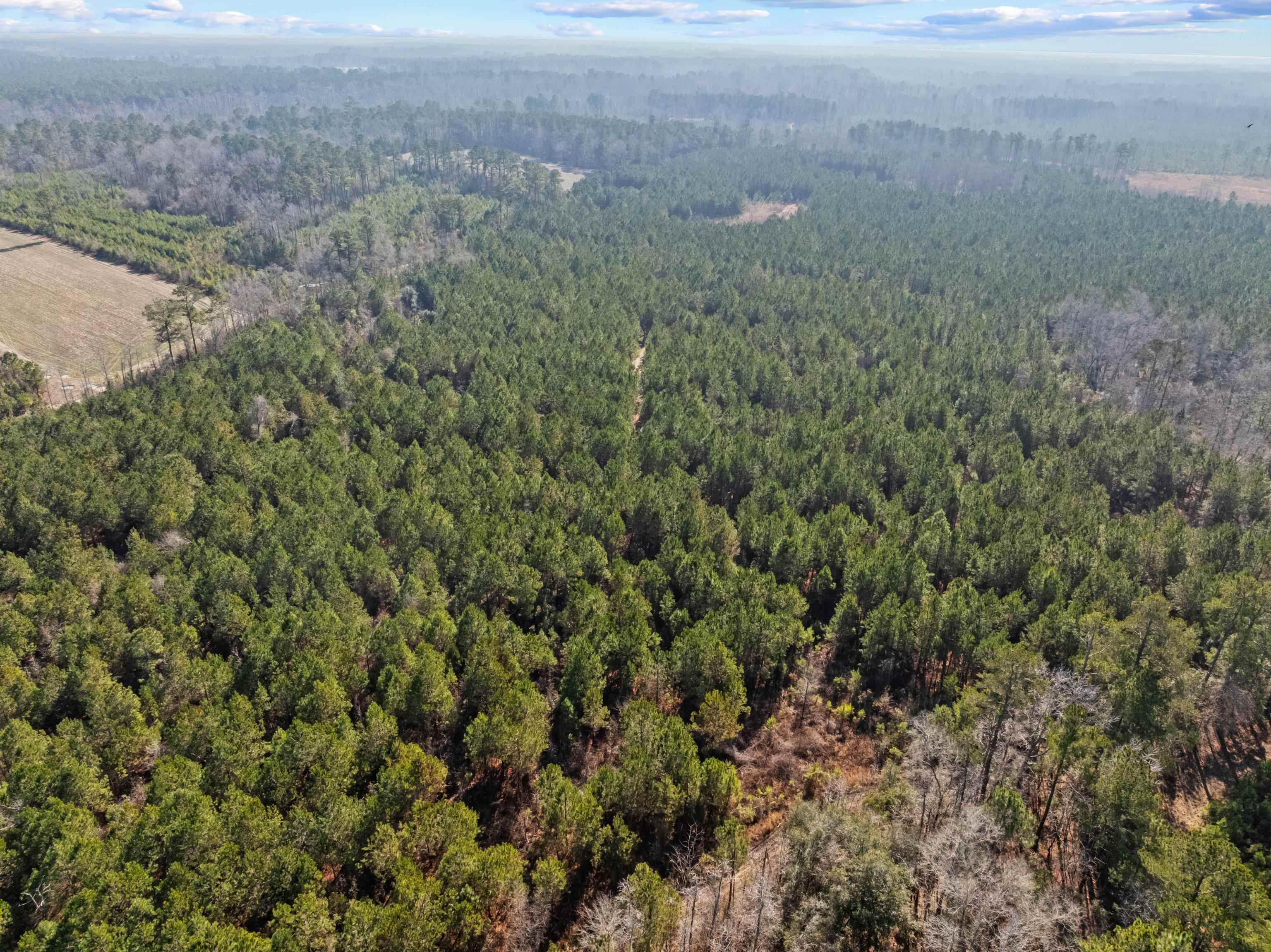 Tbd 183 Acres Blakely Rd. Property Photo 37