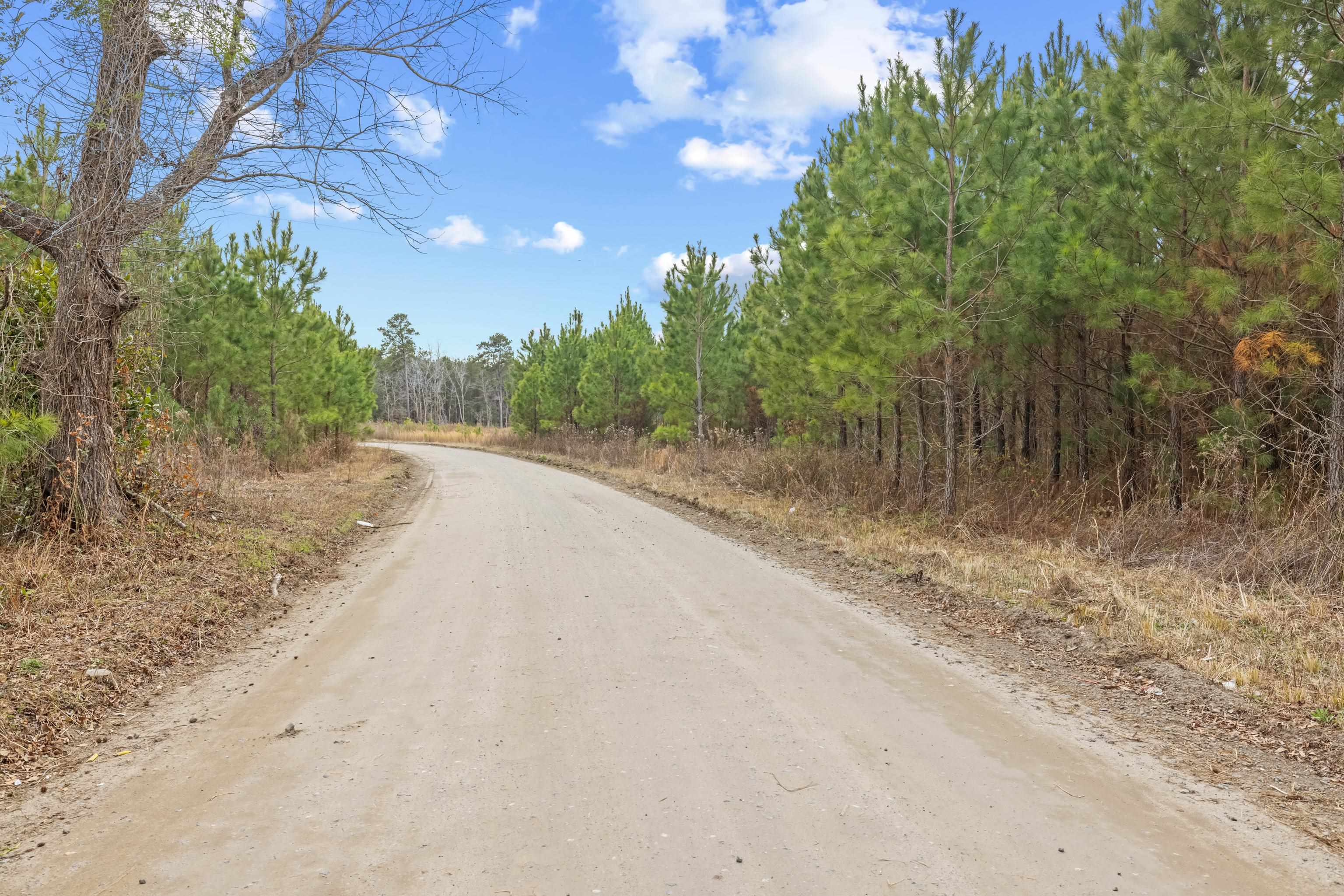 Tbd 183 Acres Blakely Rd. Property Photo 40