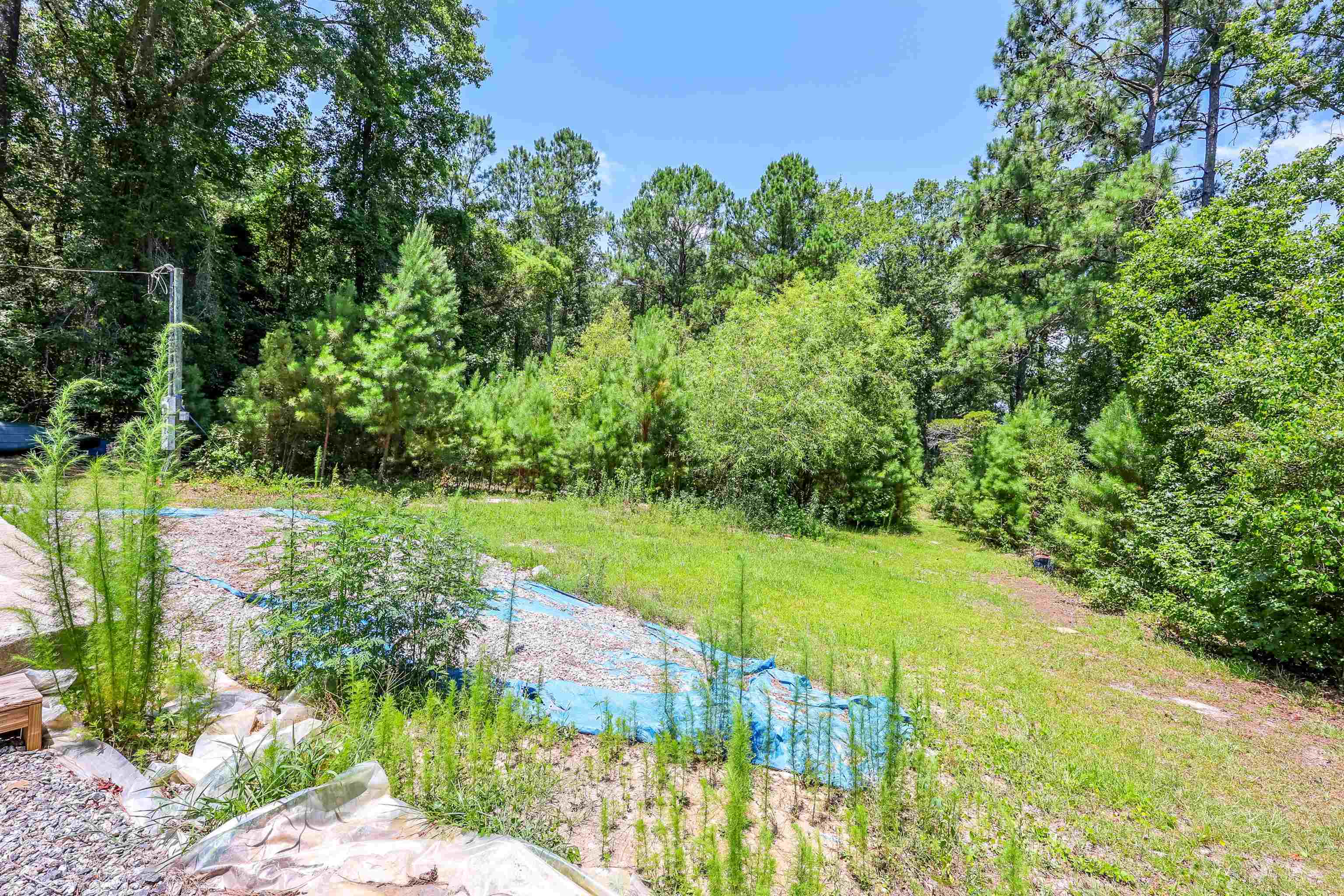 297 Crystal Lane Rd. Property Photo 5