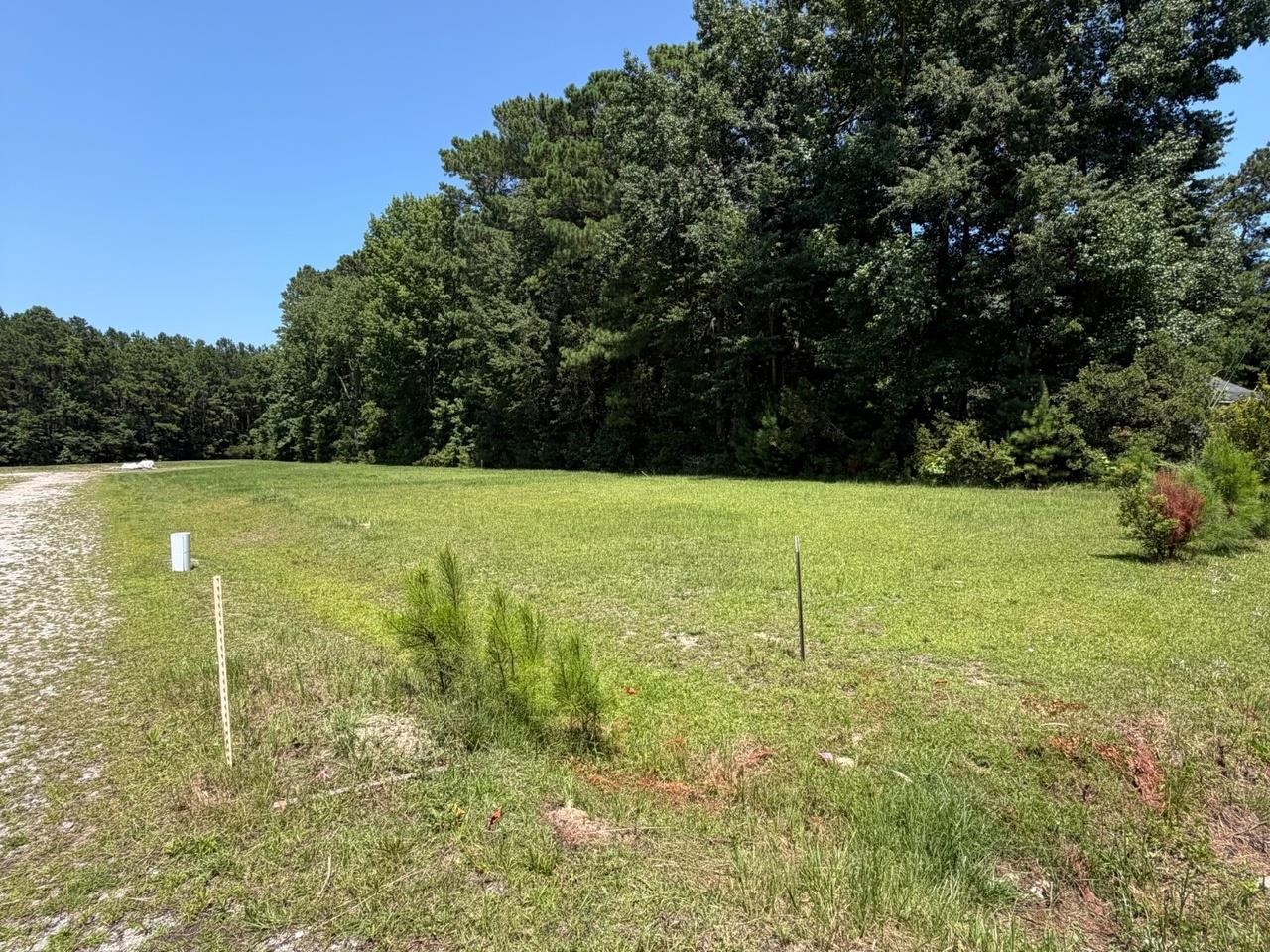 Tbd Salem Rd. Property Photo 6