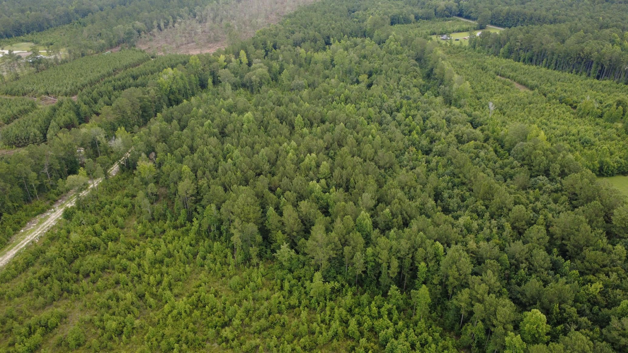 Lot A Fries Bay Rd. Property Photo 6