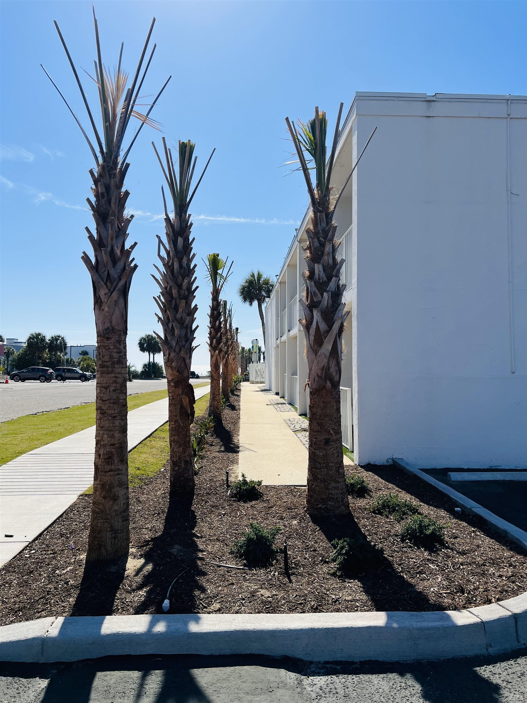 1500 S Ocean Blvd. Property Photo 3