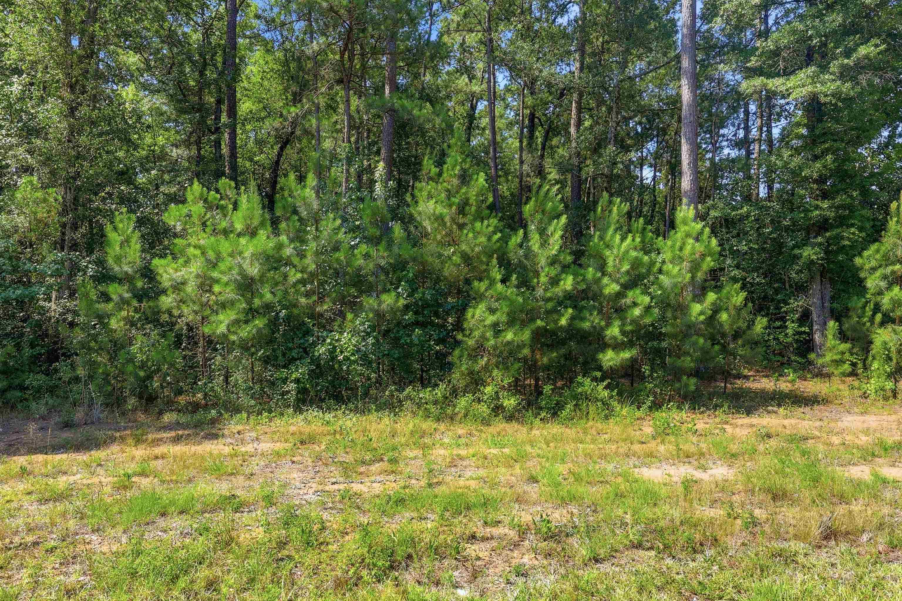 4107 Highway 378 Property Photo 3