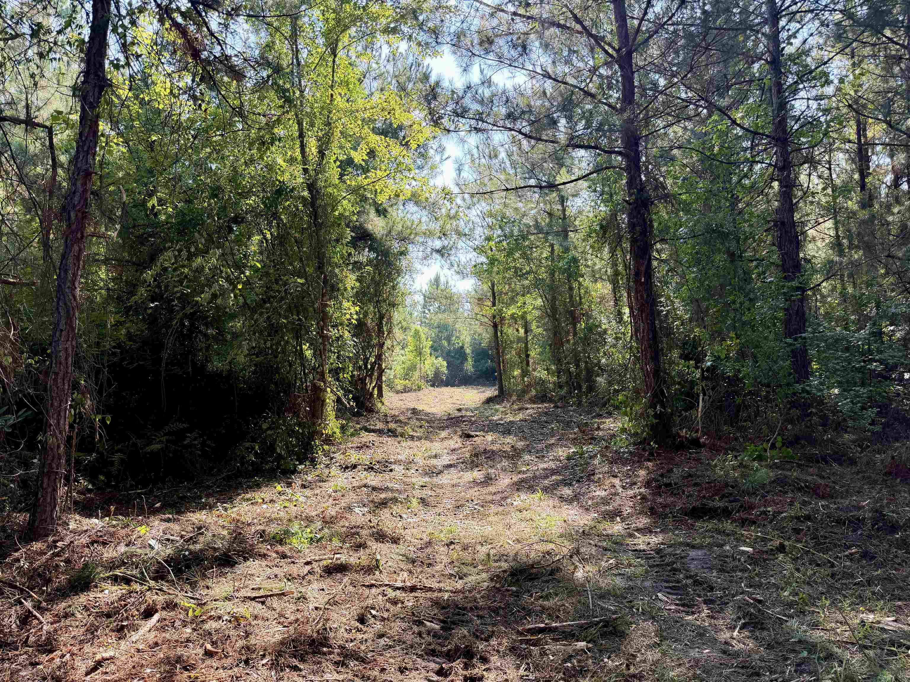 101.49 Acres - Epps Rd.