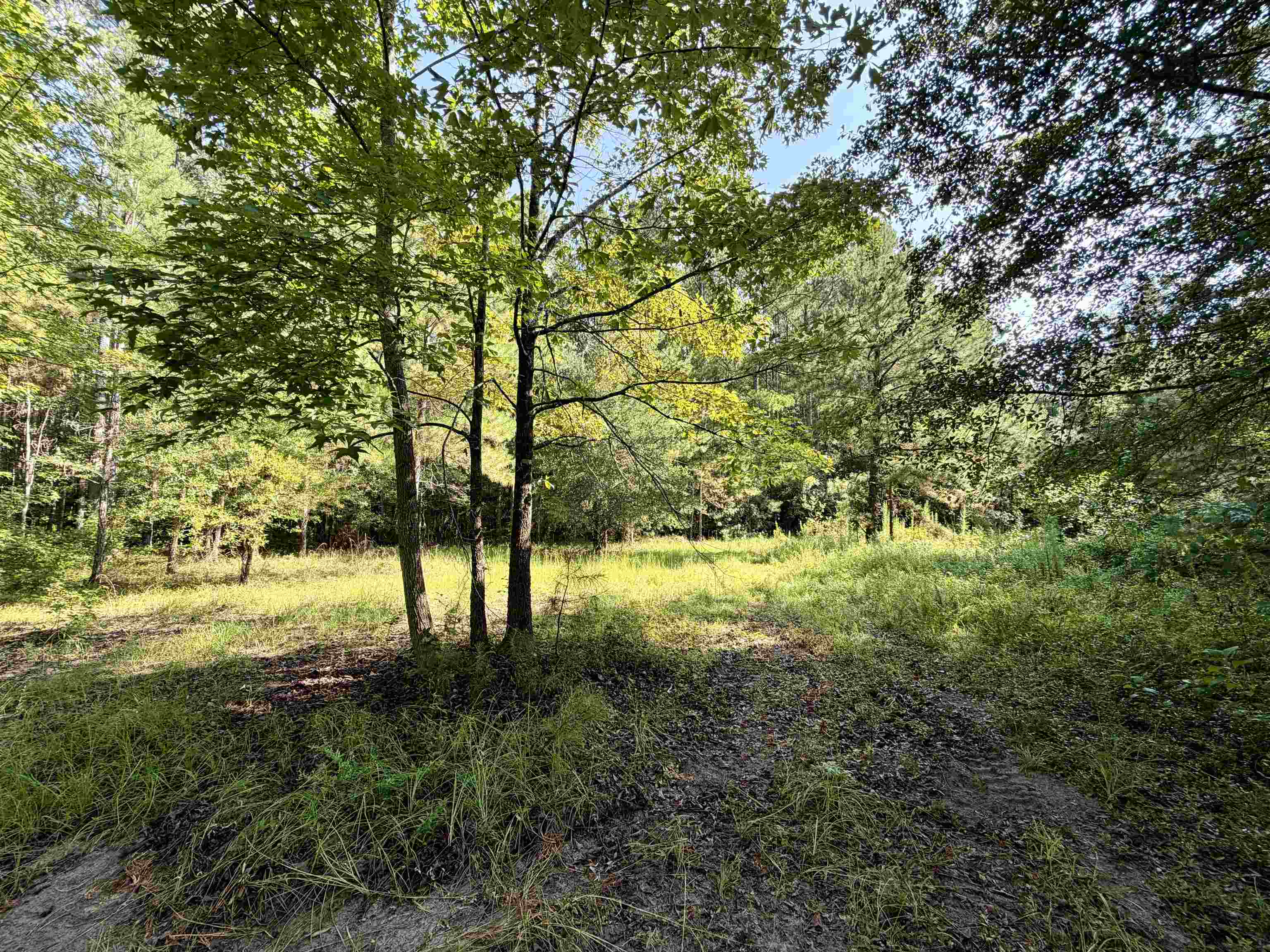 101.49 Acres - Epps Rd. Property Photo 4