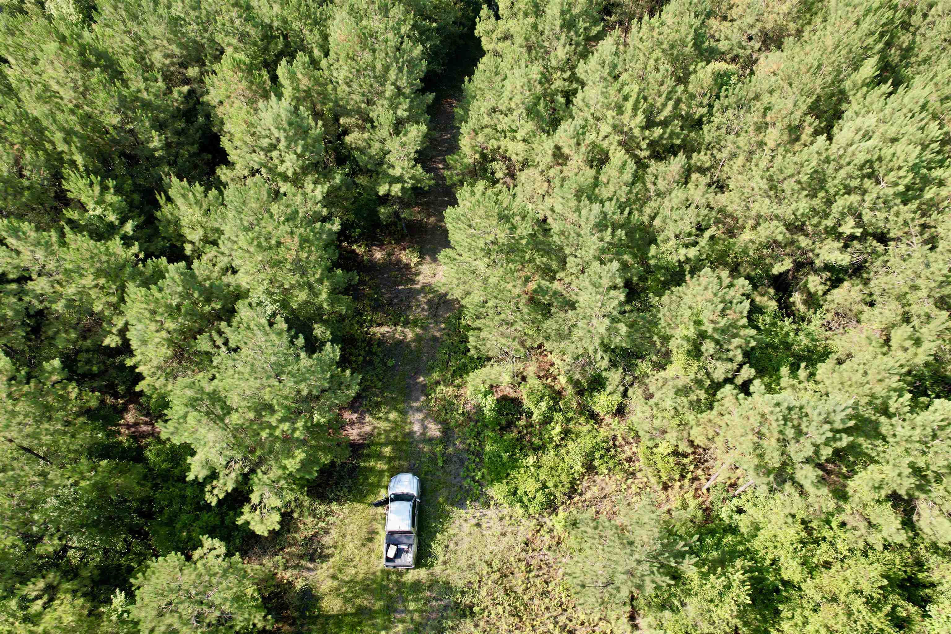 101.49 Acres - Epps Rd. Property Photo 11