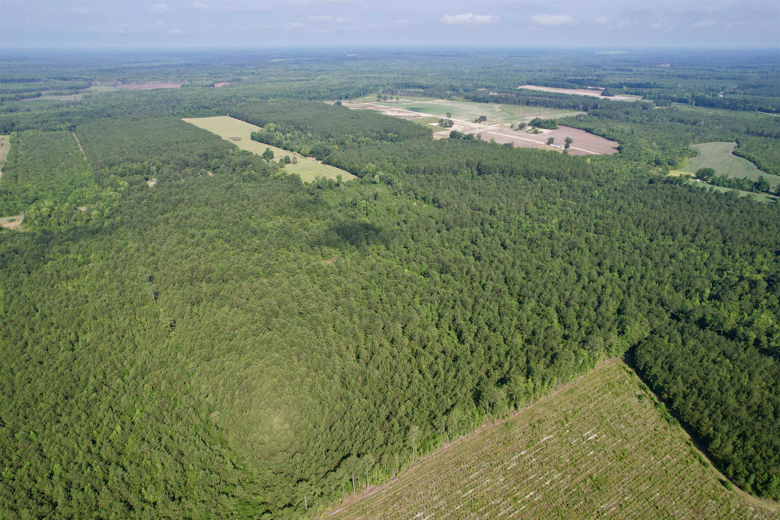 101.49 Acres - Epps Rd. Property Photo 19