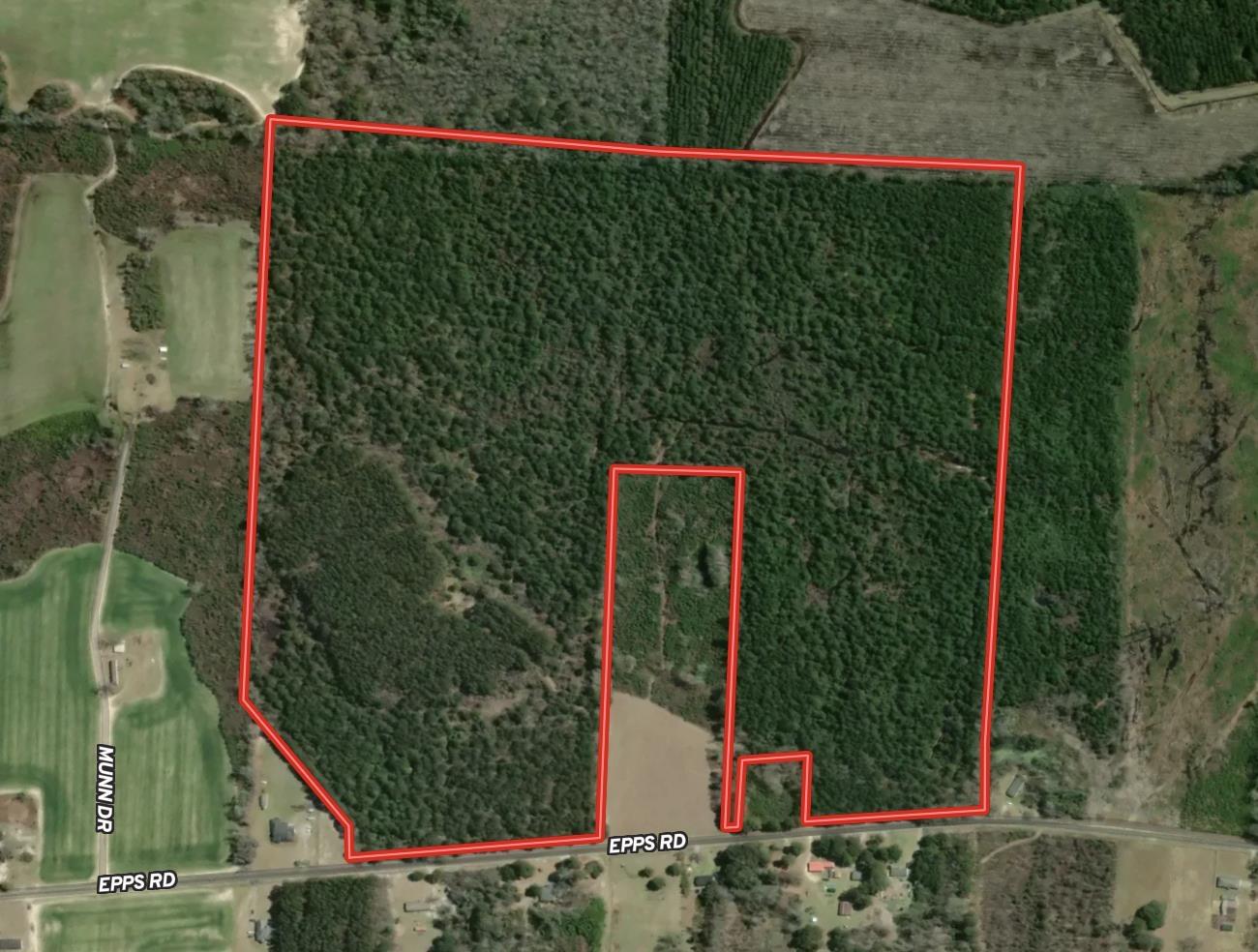 101.49 Acres - Epps Rd. Property Photo 24