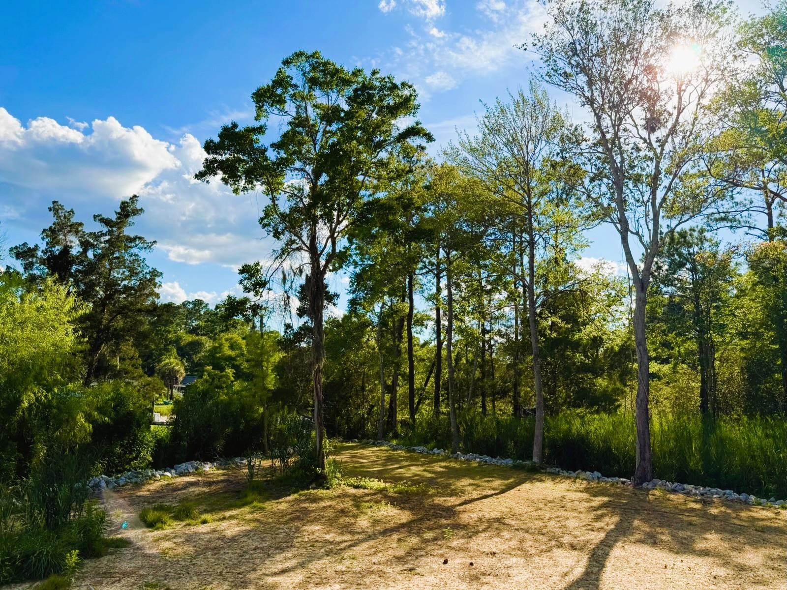 67 Ricefield Pl. Property Photo 2