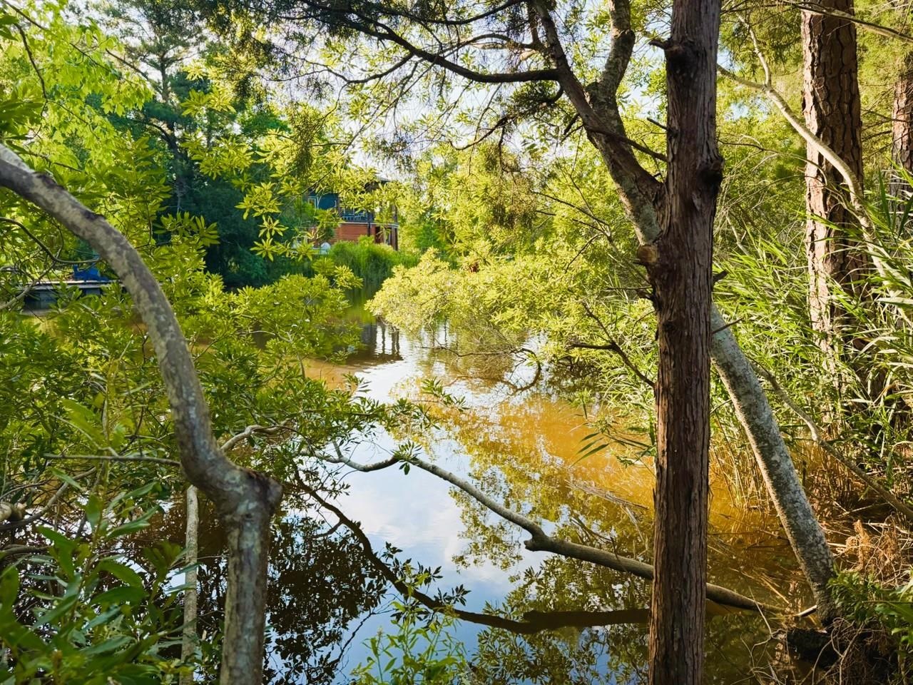 67 Ricefield Pl. Property Photo 3