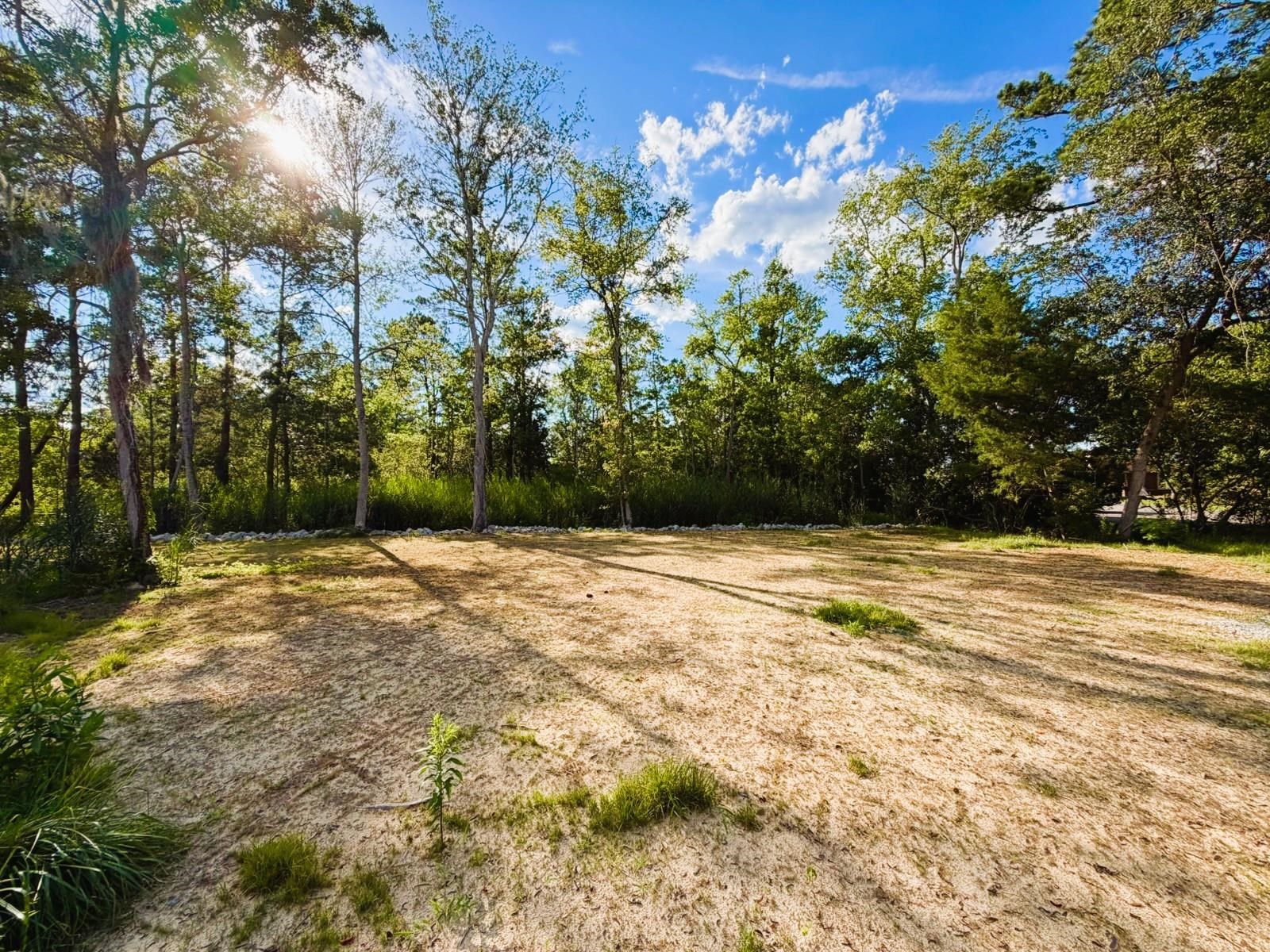 67 Ricefield Pl. Property Photo 5