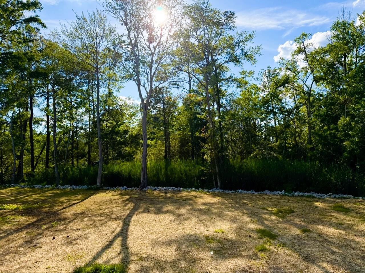 67 Ricefield Pl. Property Photo 28