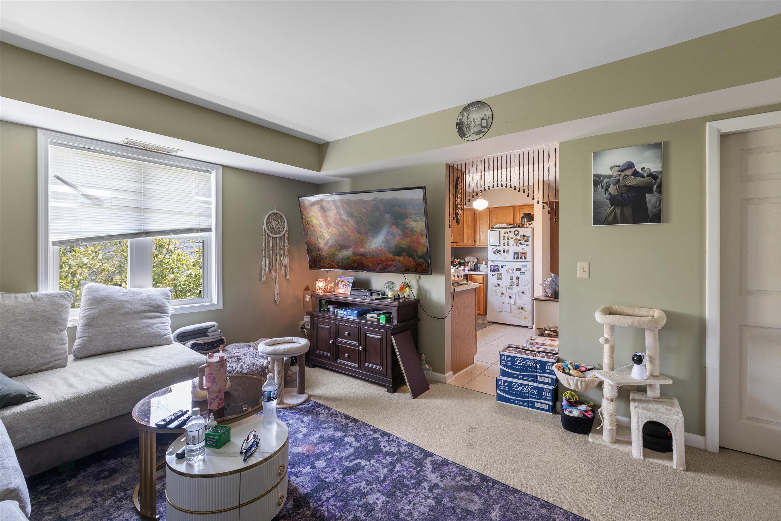 1511 Holly Dr. Property Photo 58