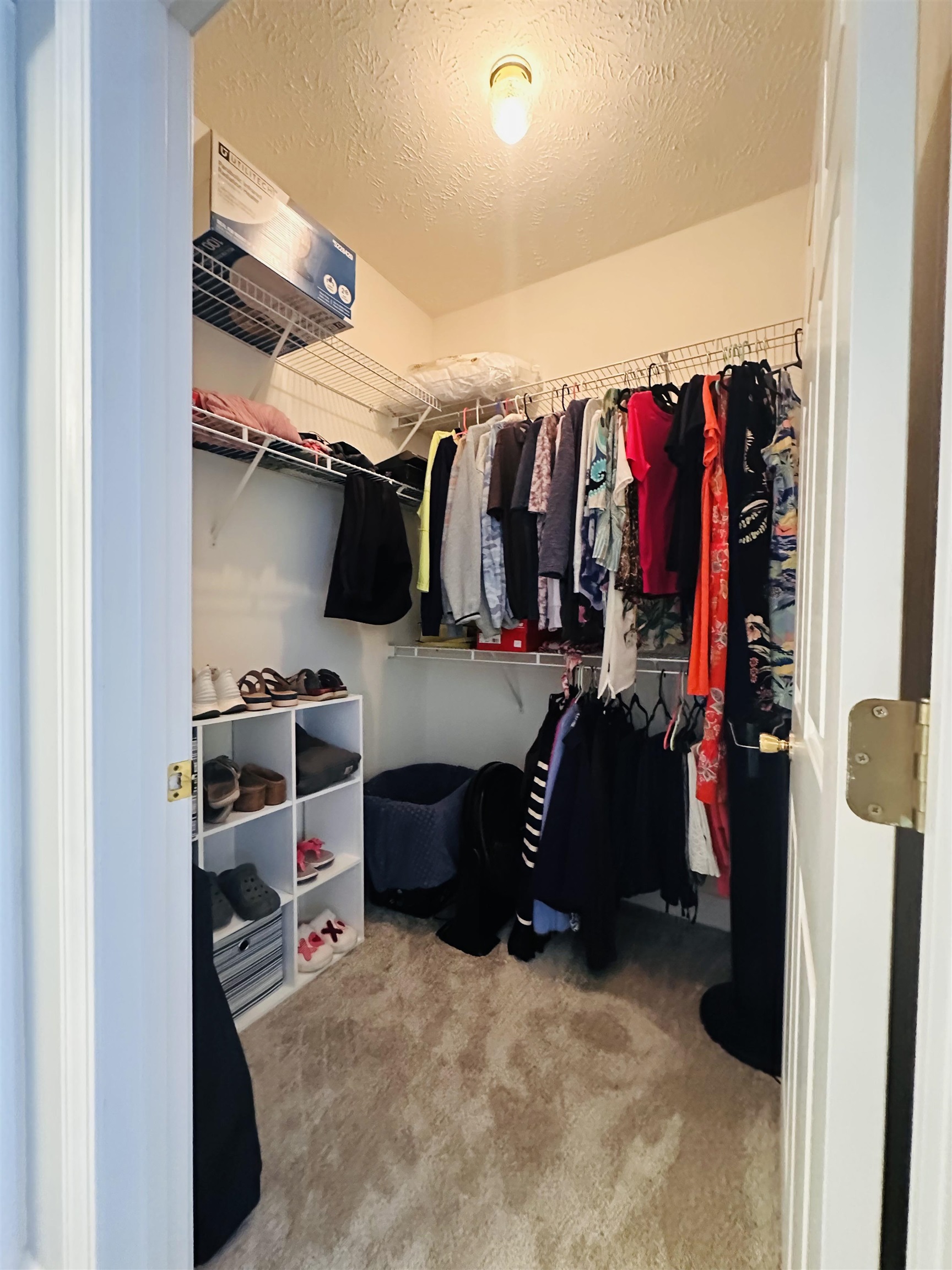 5070 Windsor Green Way Property Photo 25