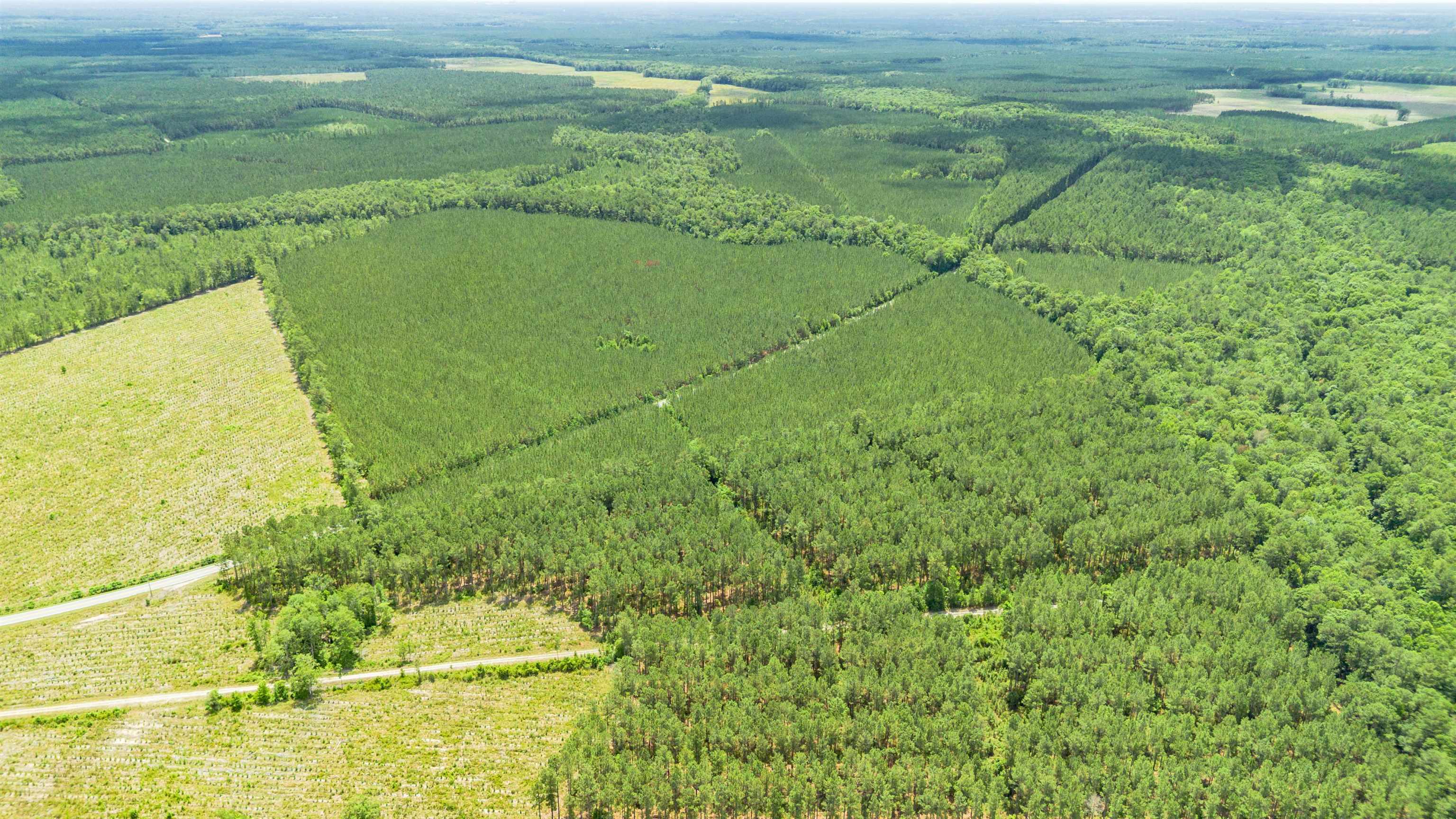 Tbd Ten Acre Rd. Property Photo 2