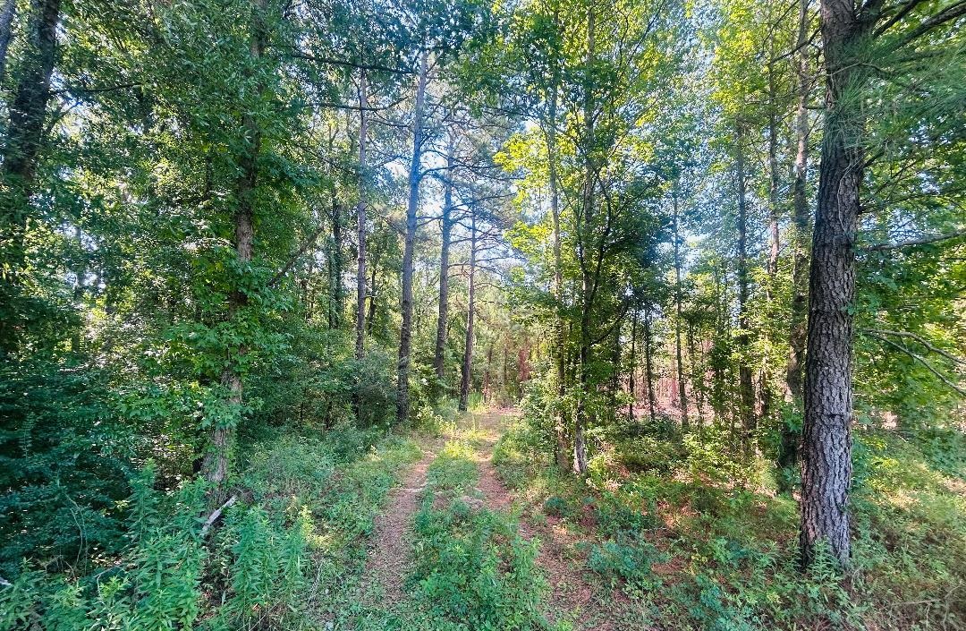 18.3 Acres - Turkey Ln Property Photo 1