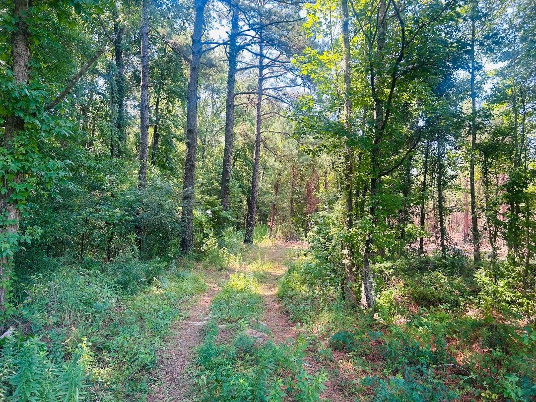 18.3 Acres - Turkey Ln Property Photo 2