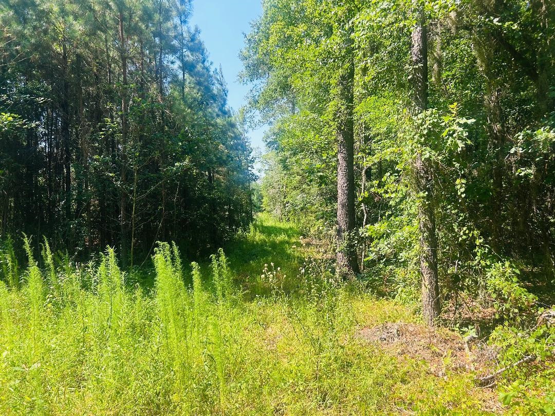 18.3 Acres - Turkey Ln Property Photo 9