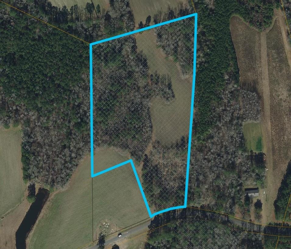 Tbd Long Branch Swamp Rd. Property Photo 1