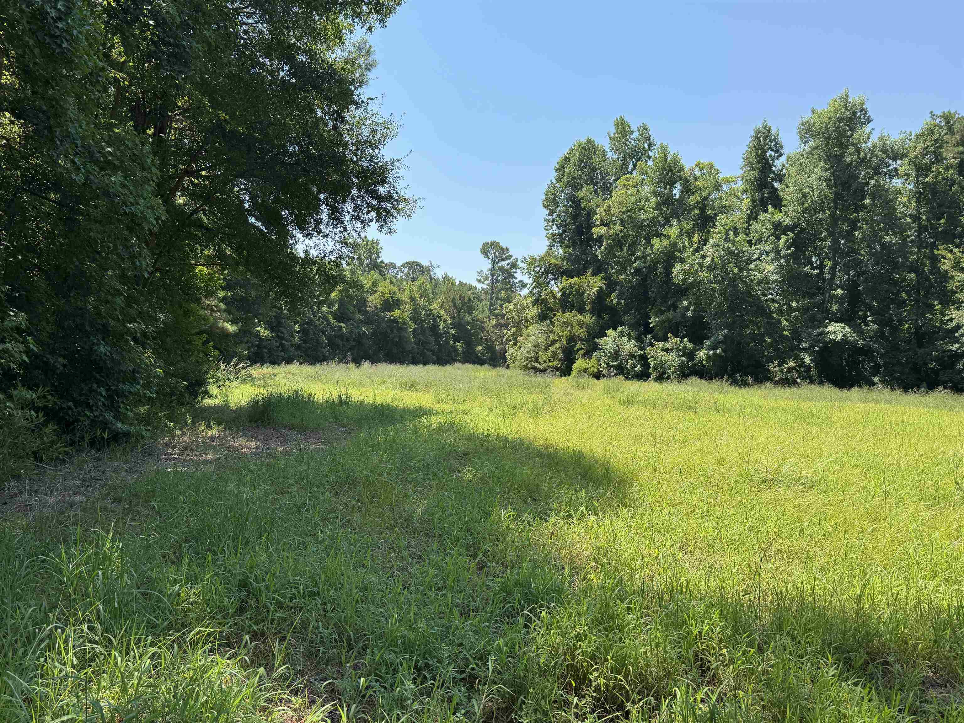 Tbd Long Branch Swamp Rd. Property Photo 3