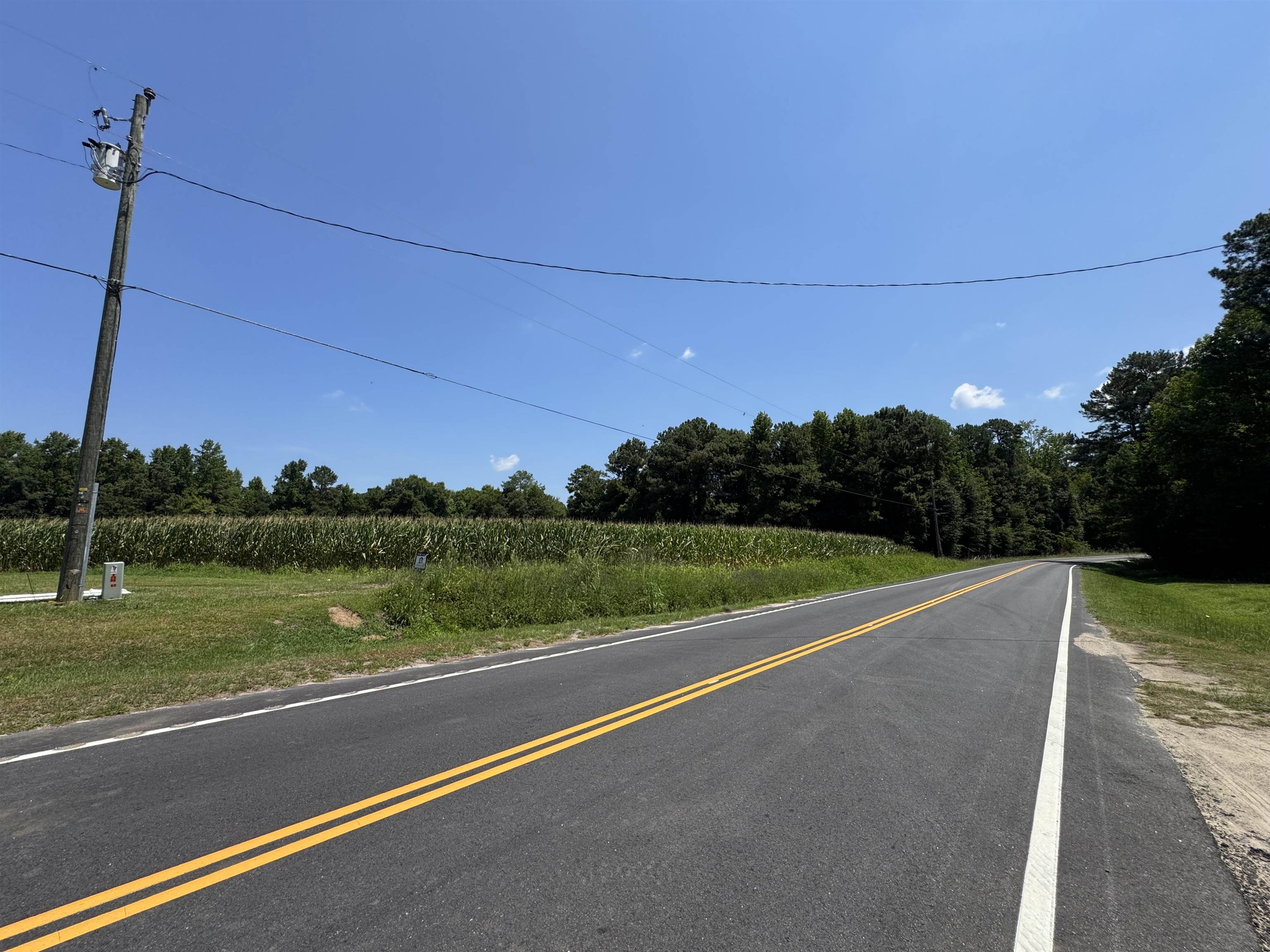 Tbd Long Branch Swamp Rd. Property Photo 4