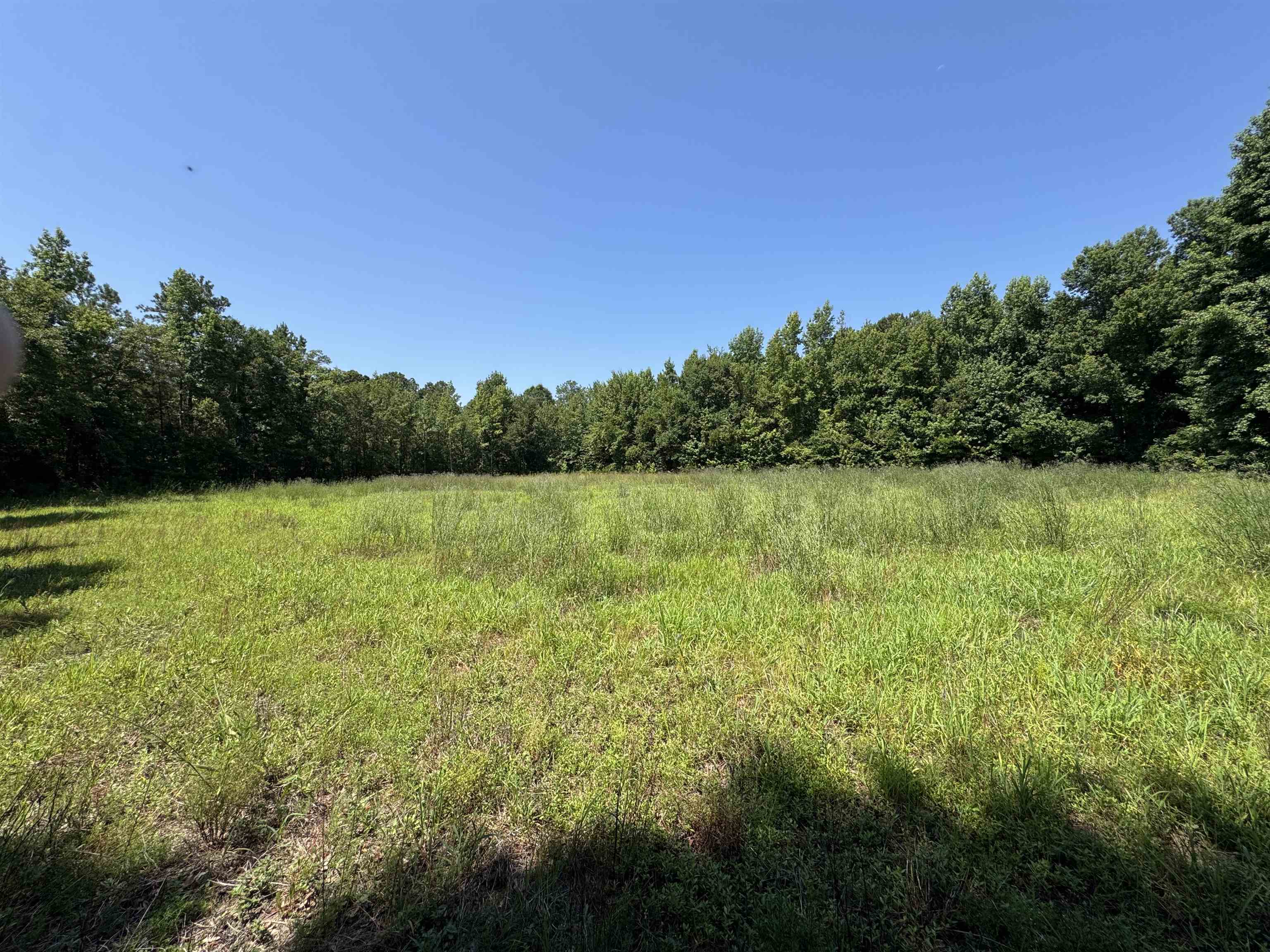 Tbd Long Branch Swamp Rd. Property Photo 5