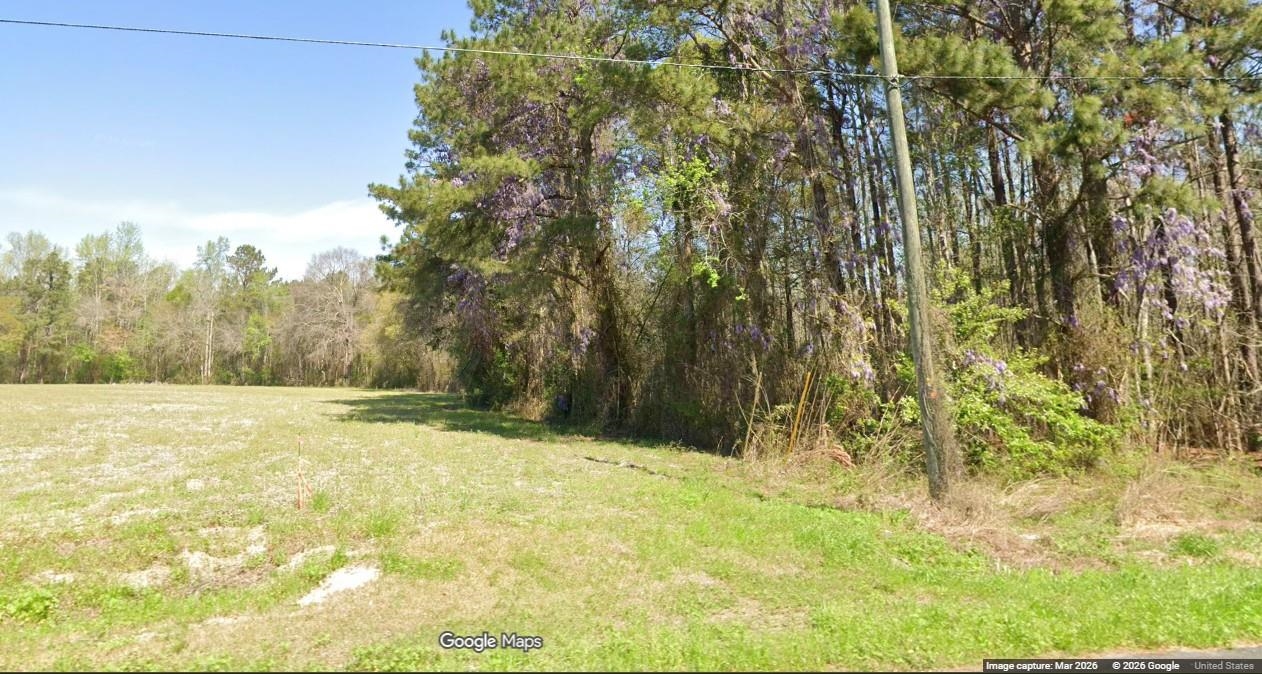 Tbd Long Branch Swamp Rd. Property Photo 7