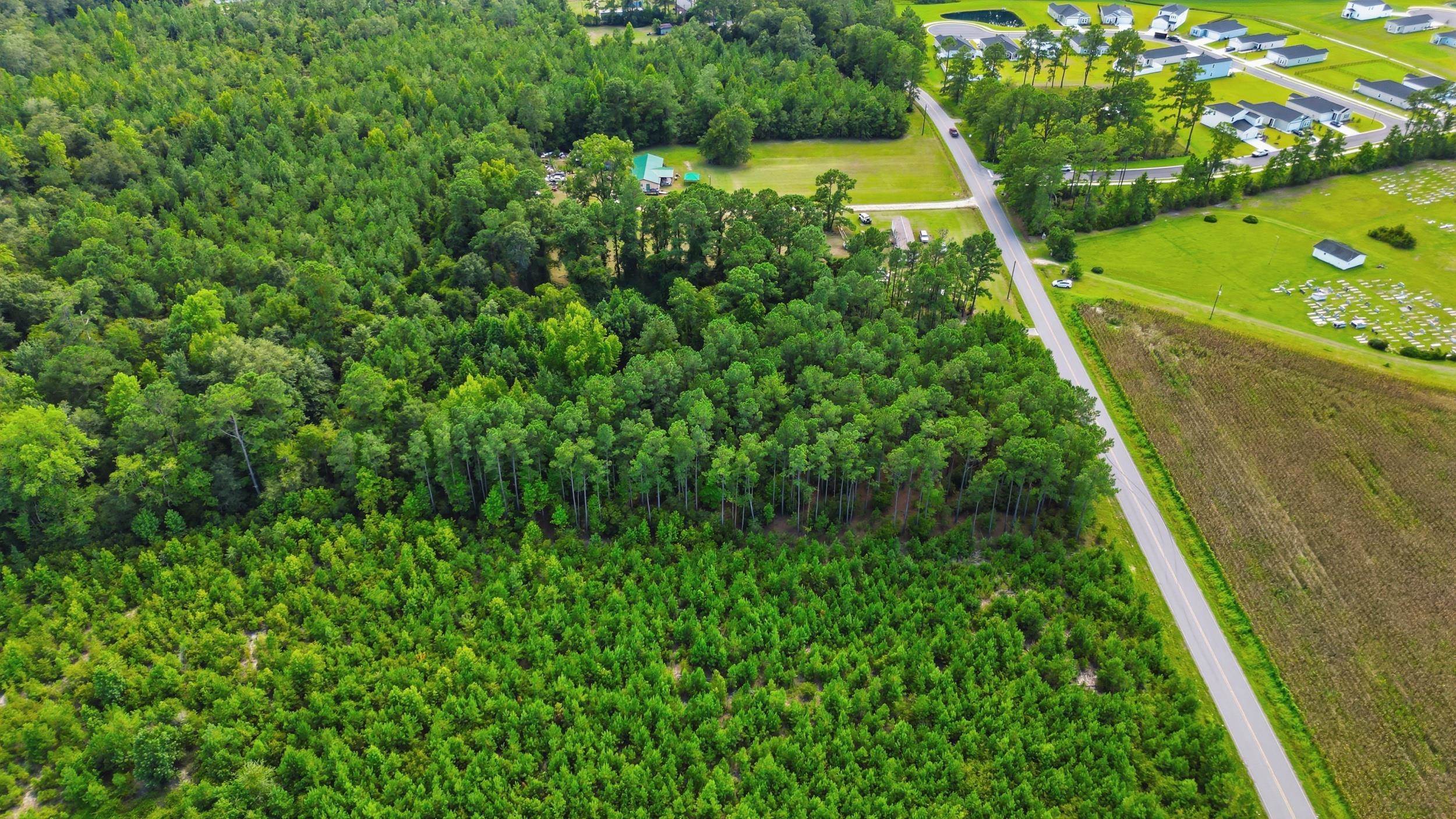 Tbd Flag Patch Rd. Property Photo 9