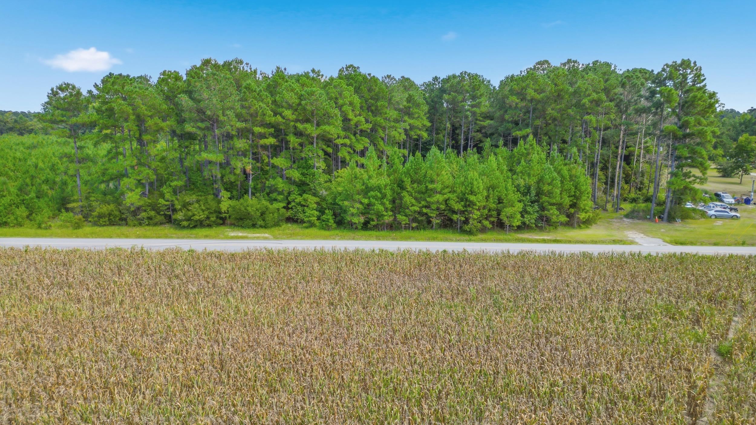 Tbd Flag Patch Rd. Property Photo 10