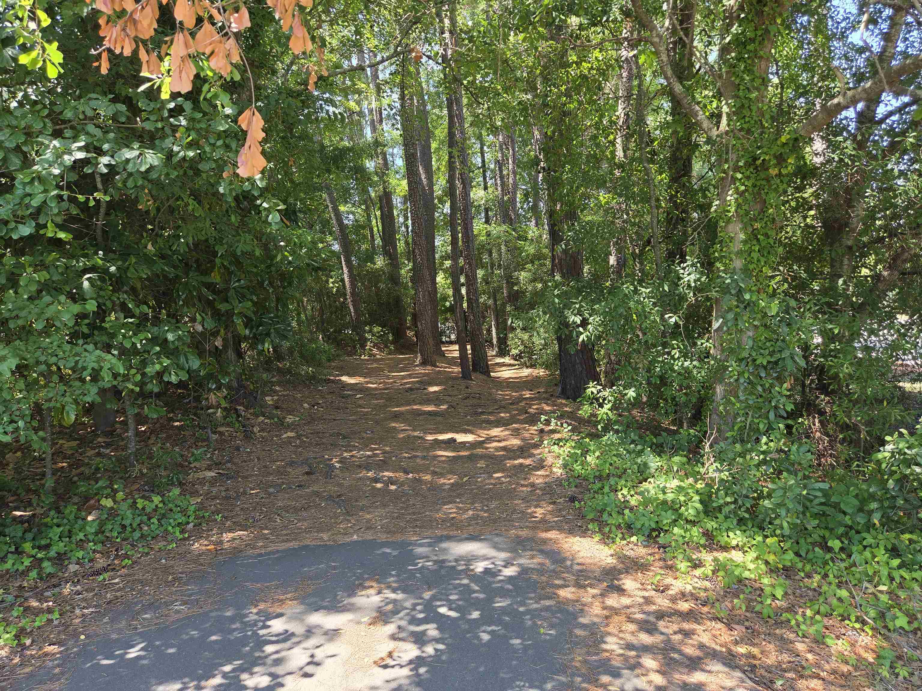 1025 Carolina Rd. Property Photo 31