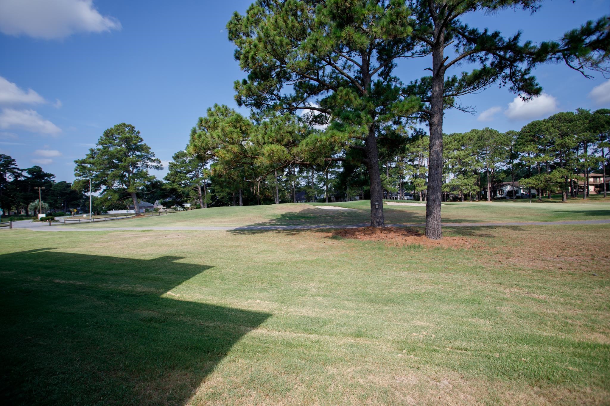 3805 Myrtle Pointe Dr. Property Photo 42