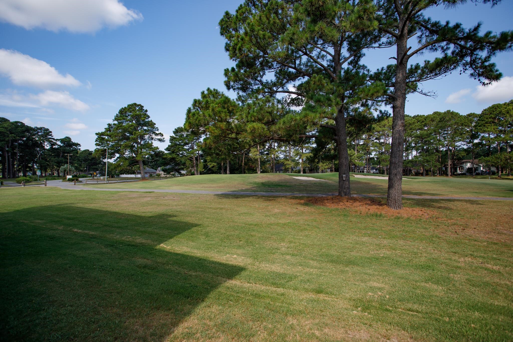 3805 Myrtle Pointe Dr. Property Photo 43