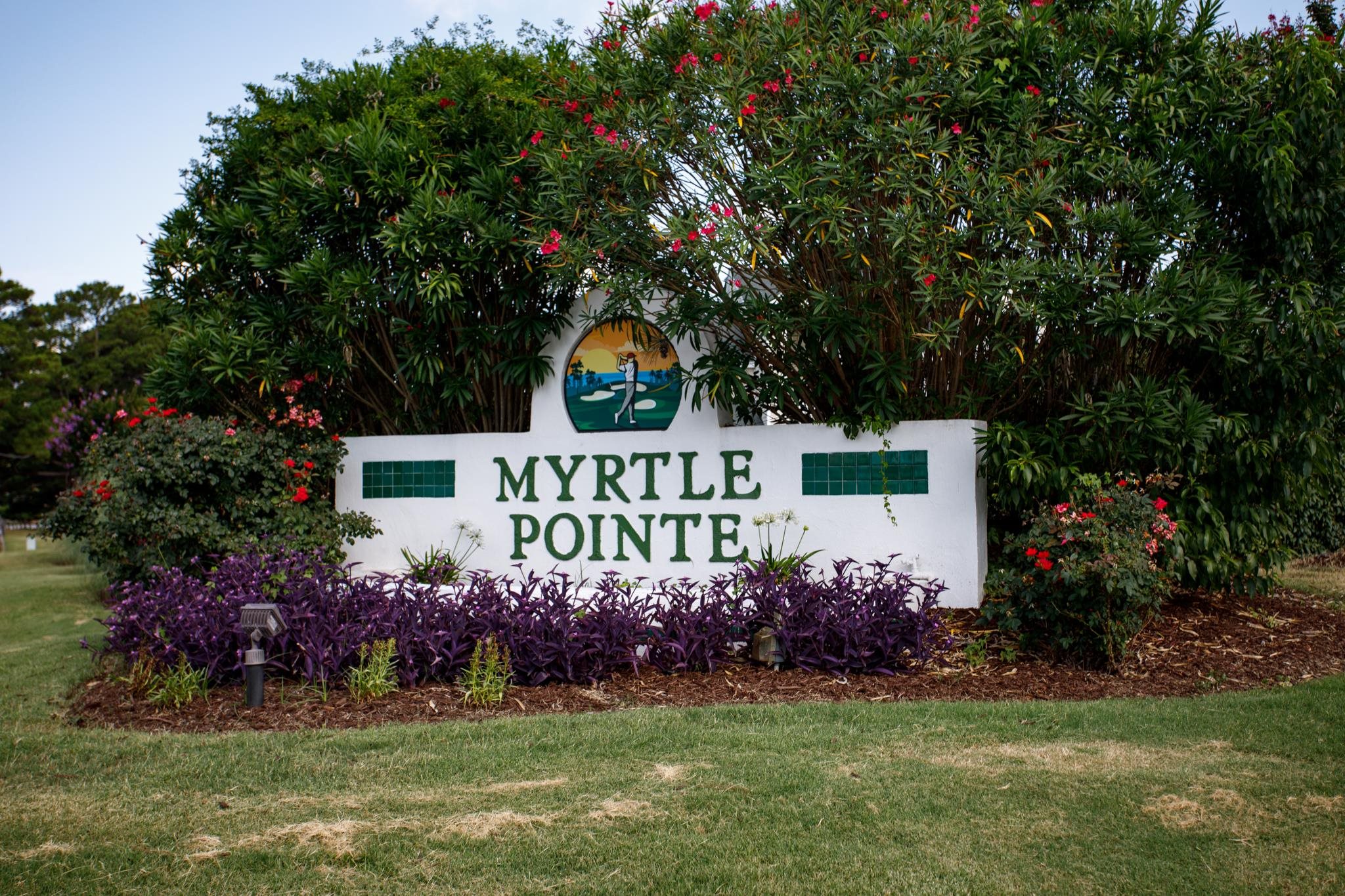 3805 Myrtle Pointe Dr. Property Photo 55