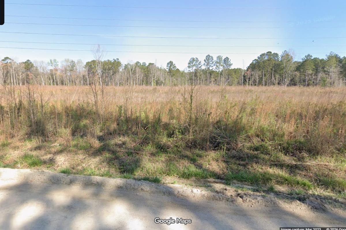 Tbd1 Old Forest Dr. Property Photo 5