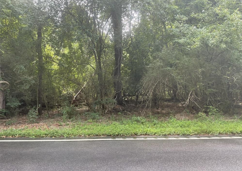 Tbd Cow Head Rd. Property Photo 4