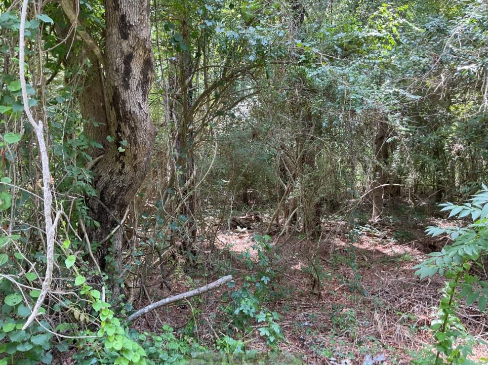 Tbd Cow Head Rd. Property Photo 5