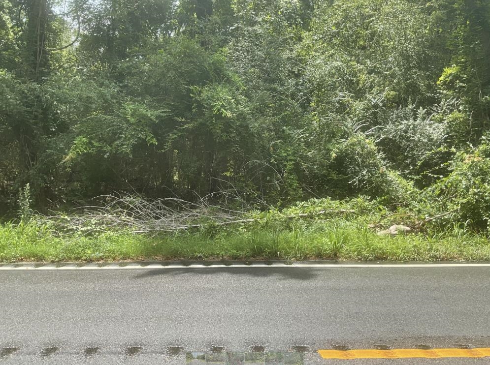 Tbd Cow Head Rd. Property Photo 6