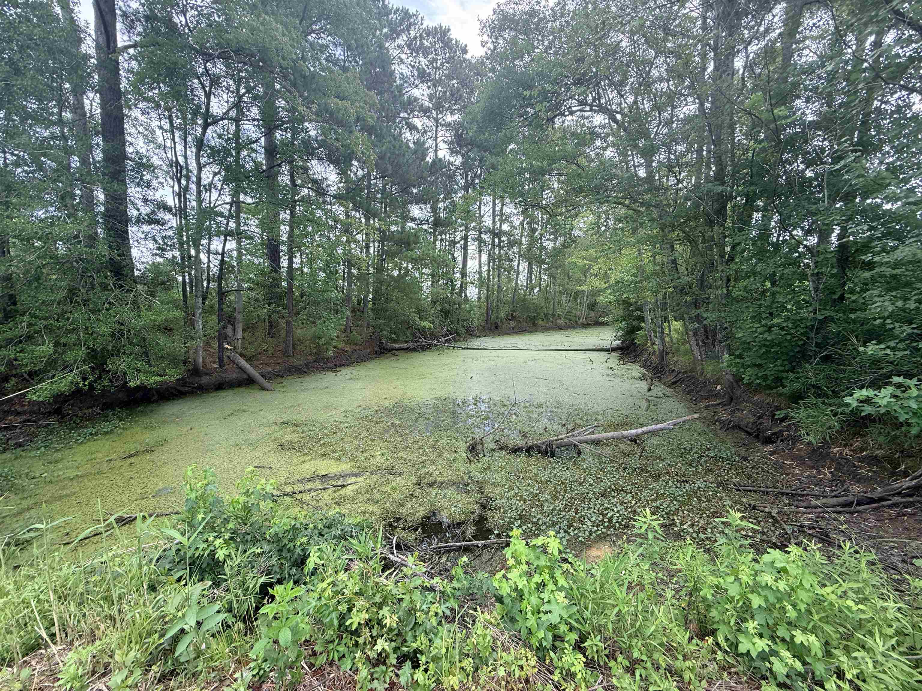 1991 Church Rd. Property Photo 15