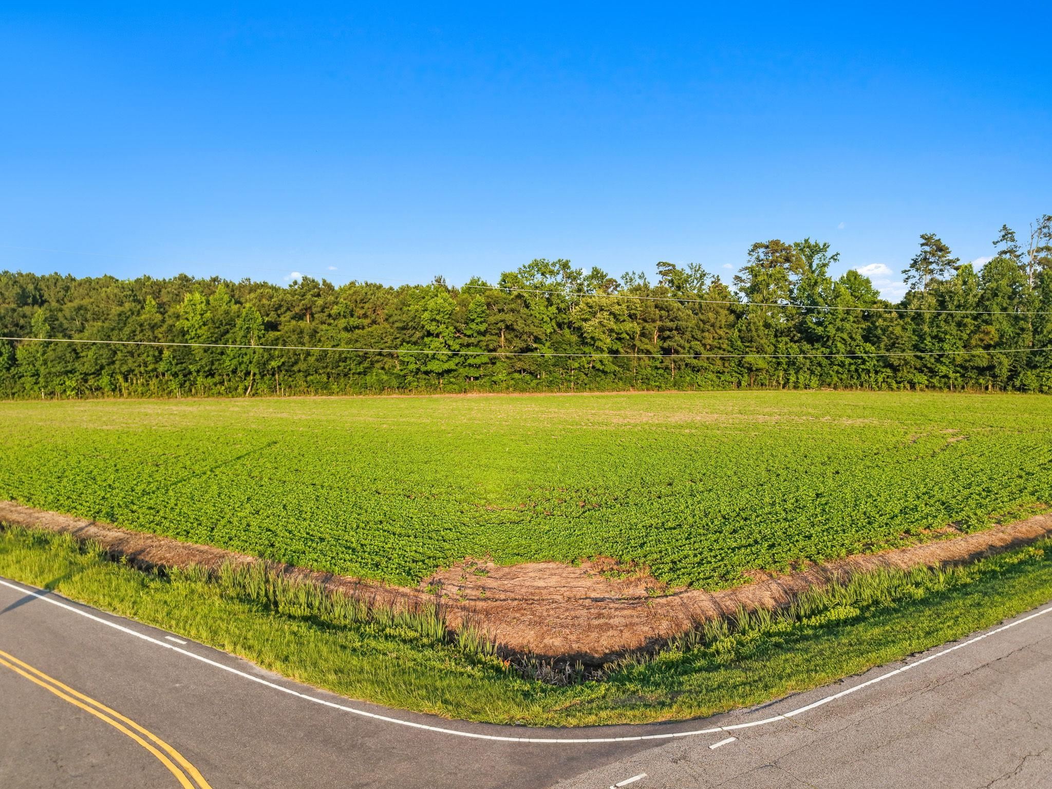 Tbd 6 Ac Highway 76 Property Photo 1