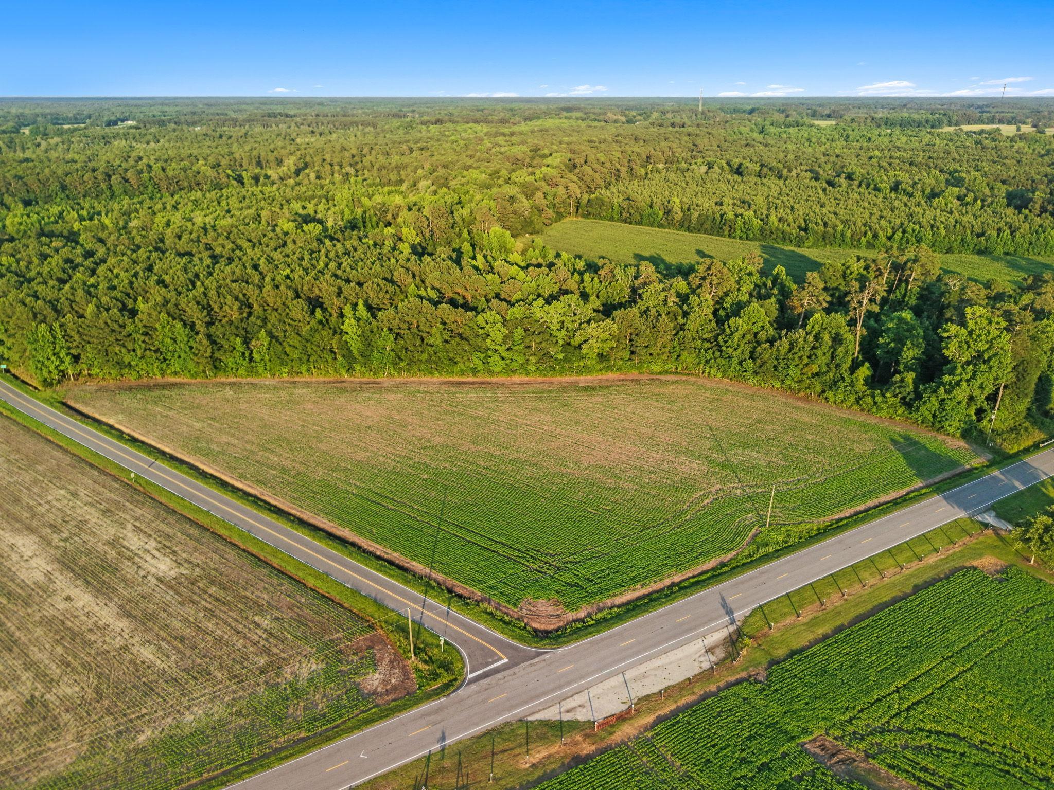 Tbd 6 Ac Highway 76 Property Photo 6