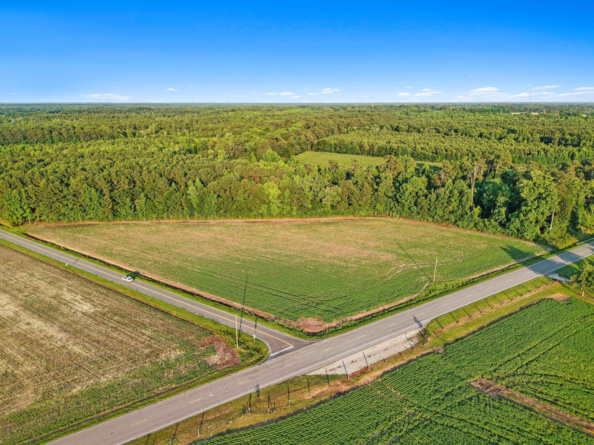 Tbd 6 Ac Highway 76 Property Photo 14